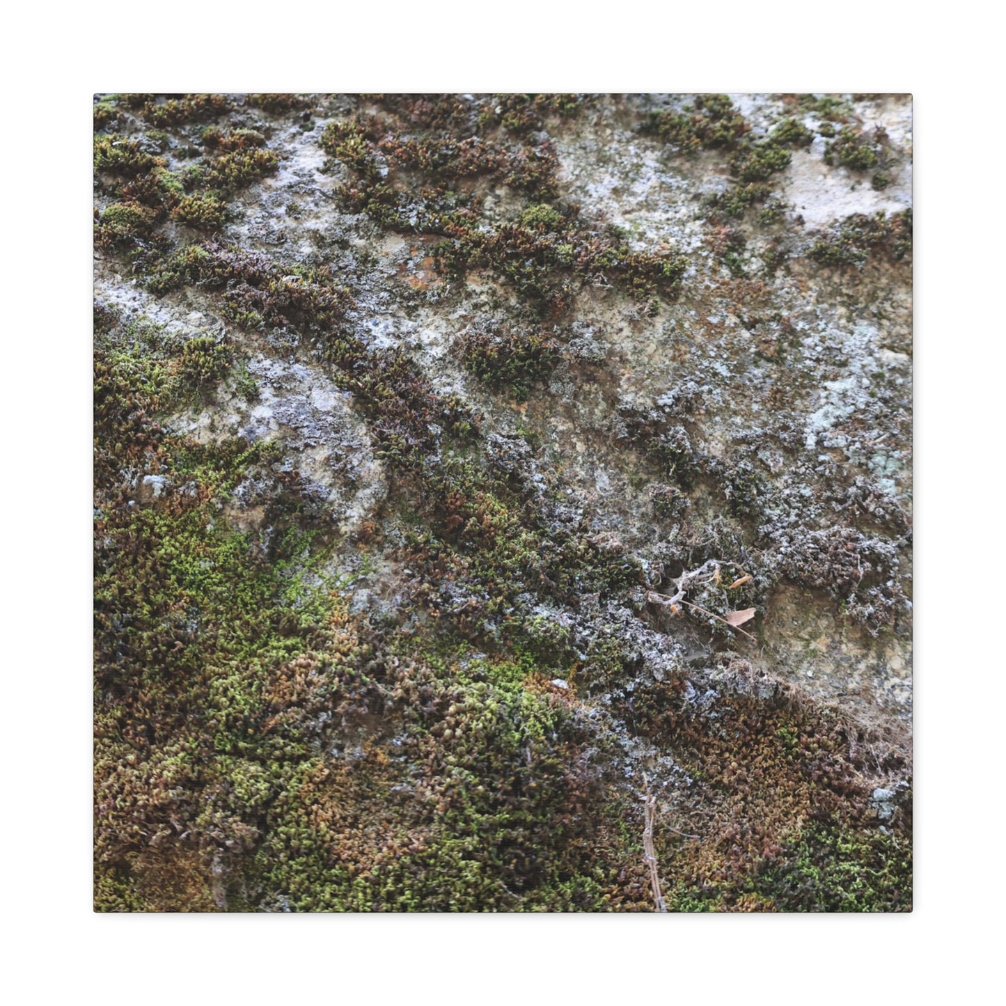 Moss Tapestry - Unique Frameless Canvas Wall Art