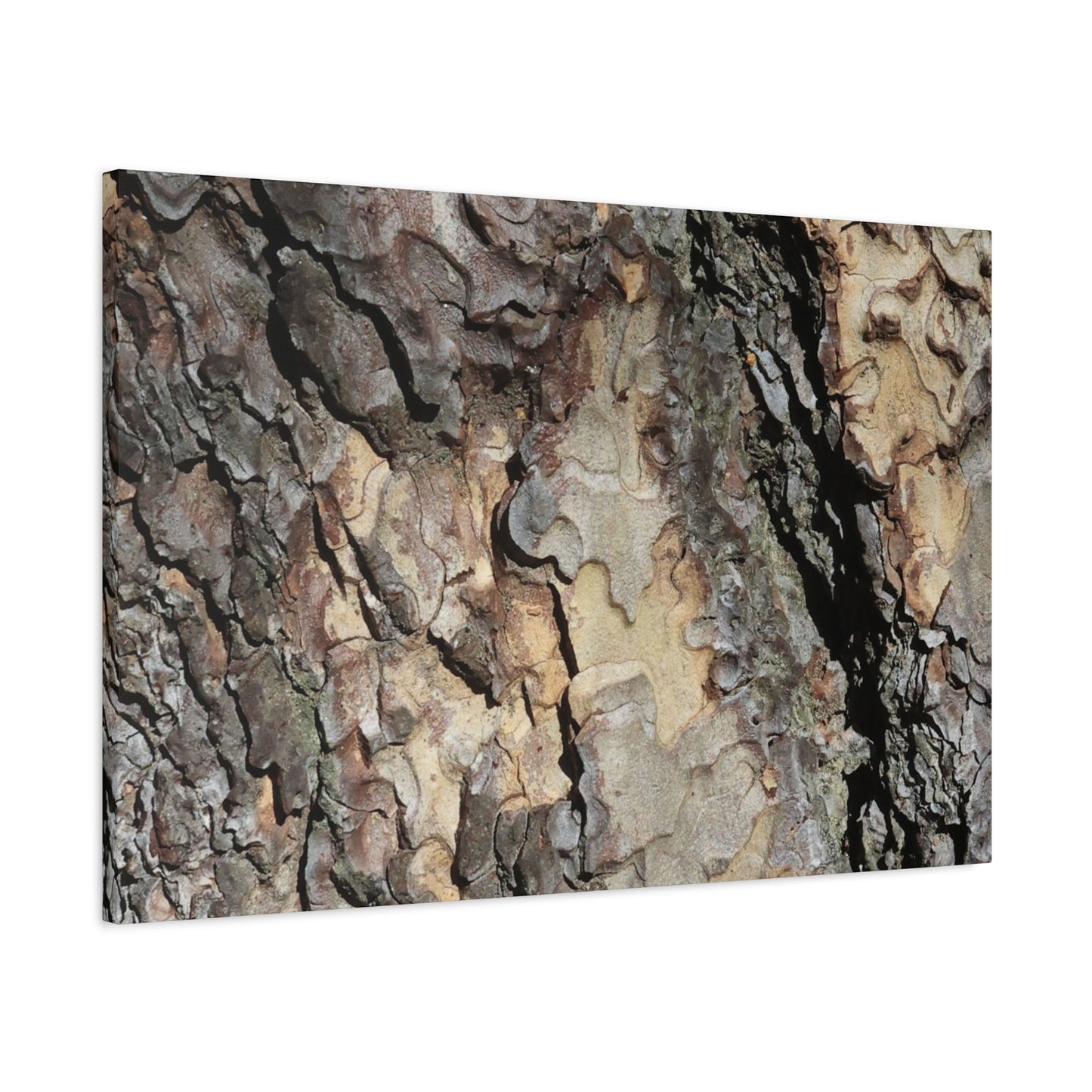 Tree Bark Symphony - Unique Frameless Canvas Wall Art