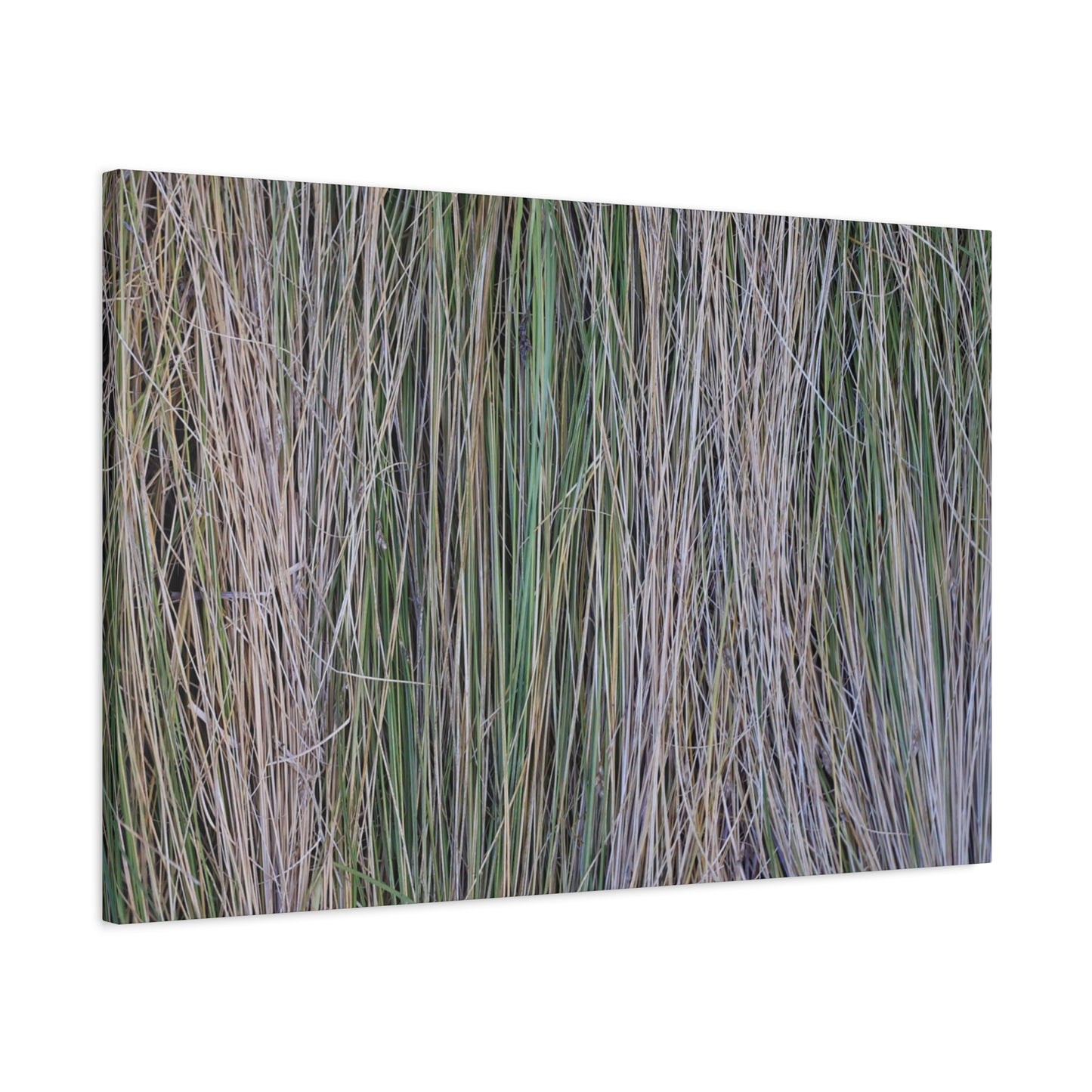 Whispers of Grass - Unique Frameless Canvas Wall Art