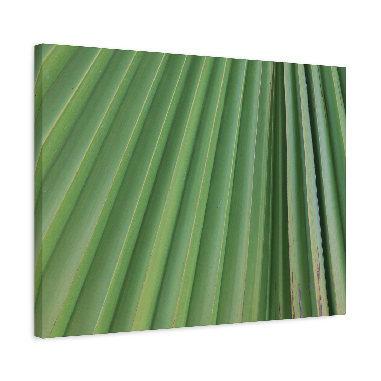 Palm Pulse - Unique Frameless Canvas Wall Art