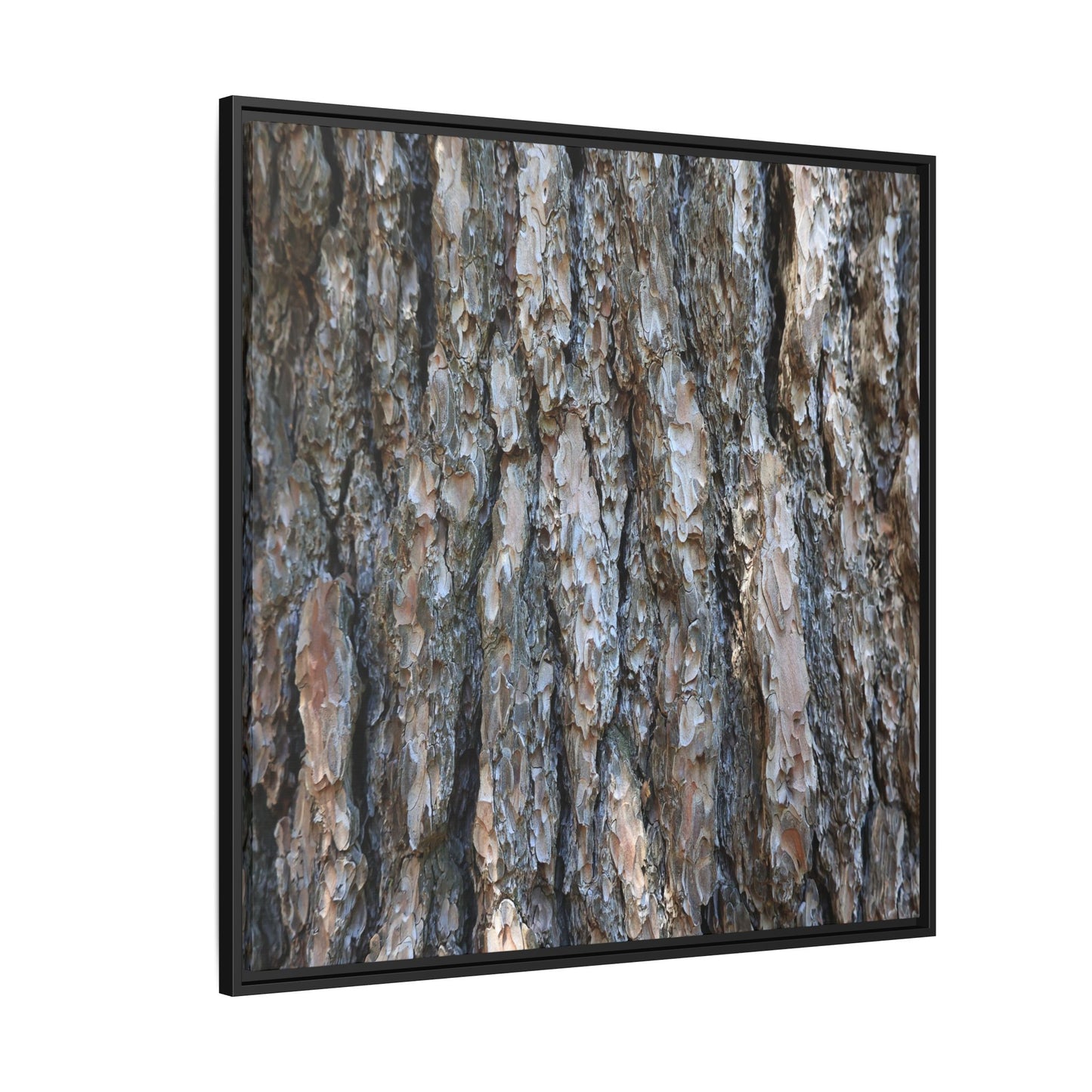 Bark Whispers - Unique Stretched Canvas Wall Art