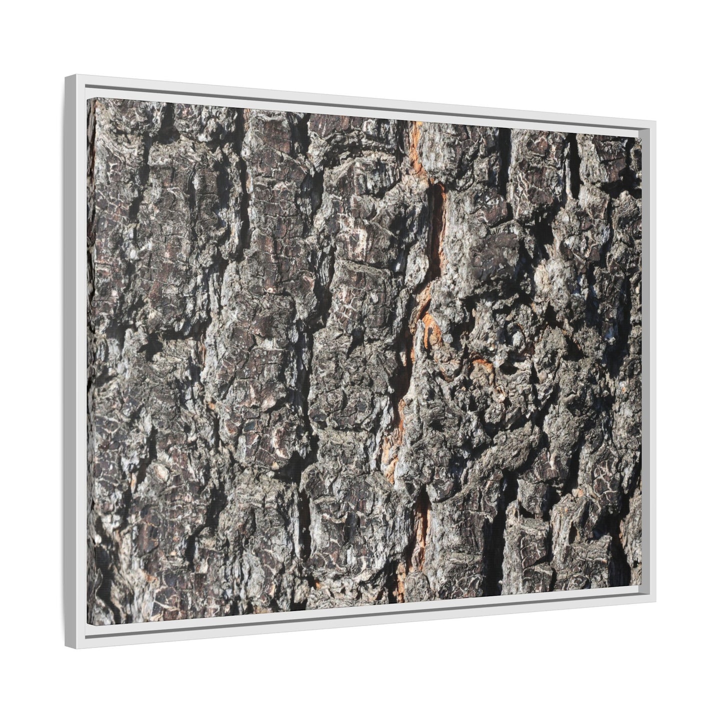 Aged Beauty - Unique Stretched Canvas Wall Art