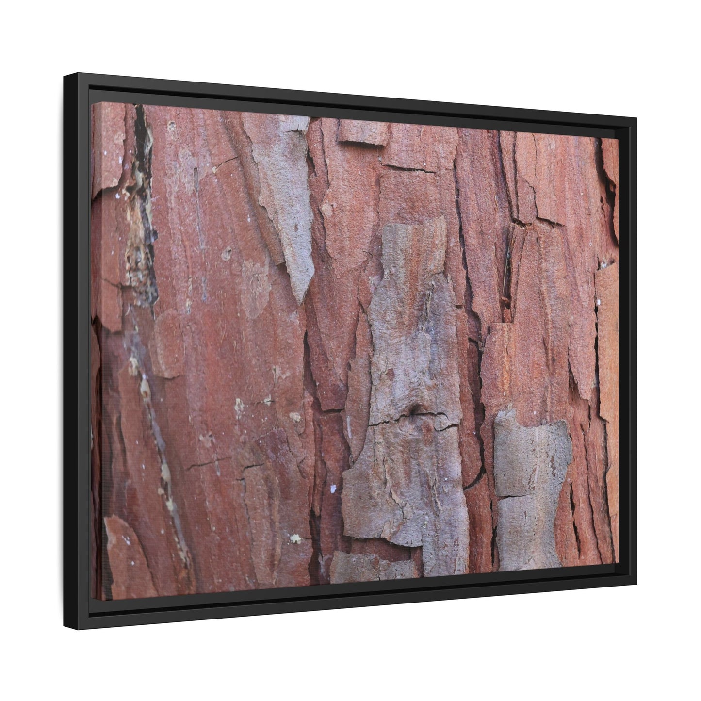 Peeling Bark - Unique Stretched Canvas Wall Art