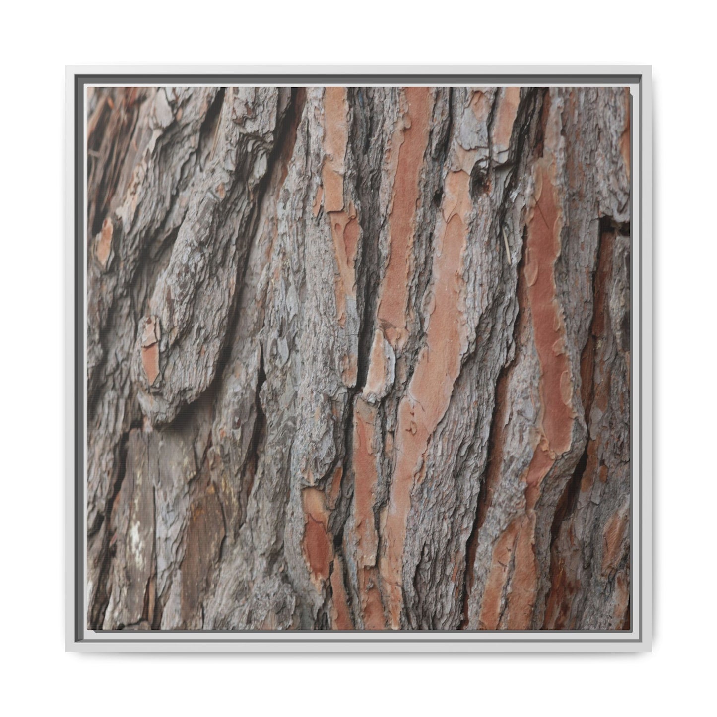 Woodland Layers - Unique Stretched Canvas Wall Art