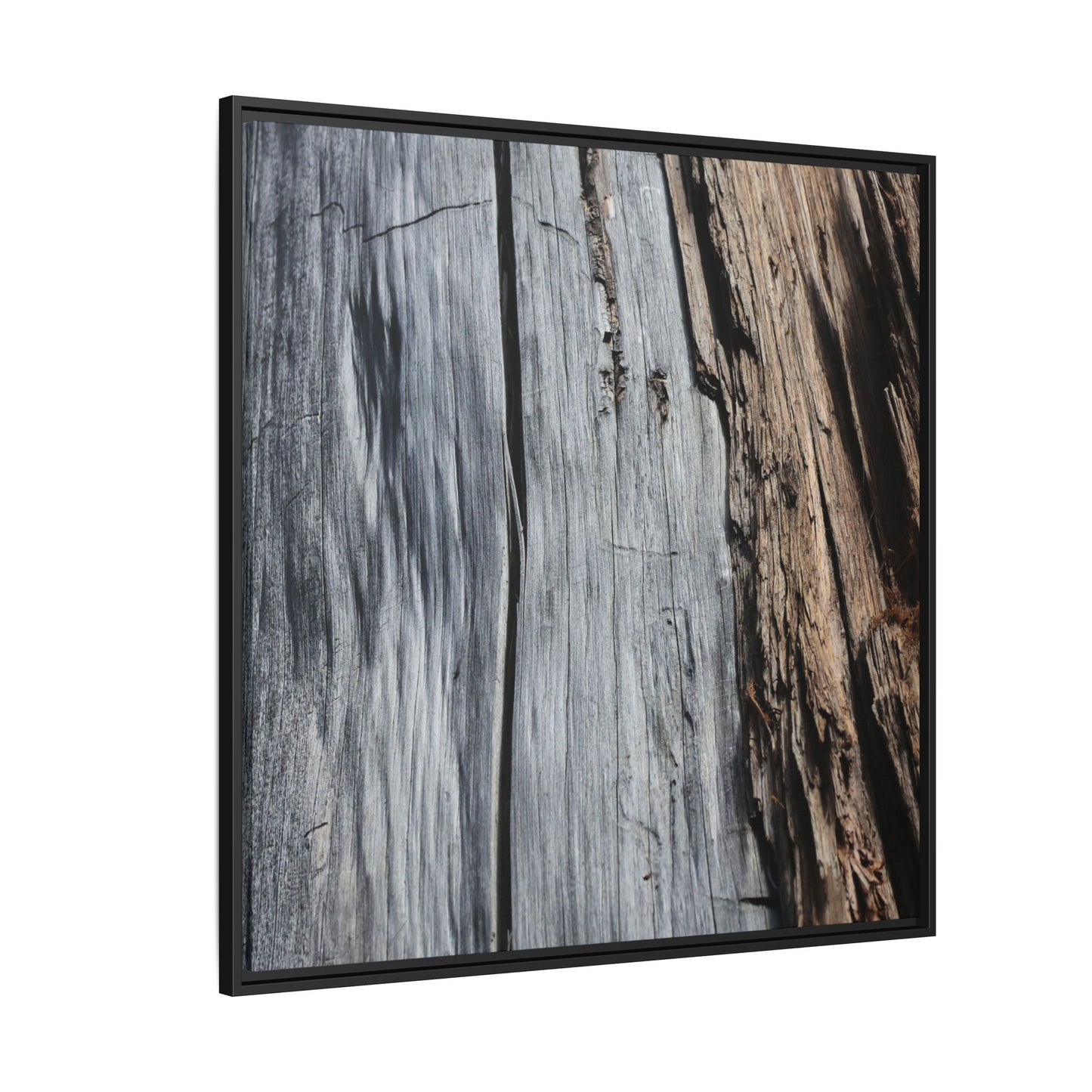 Wood's Lament - Unique Stretched Canvas Wall Art
