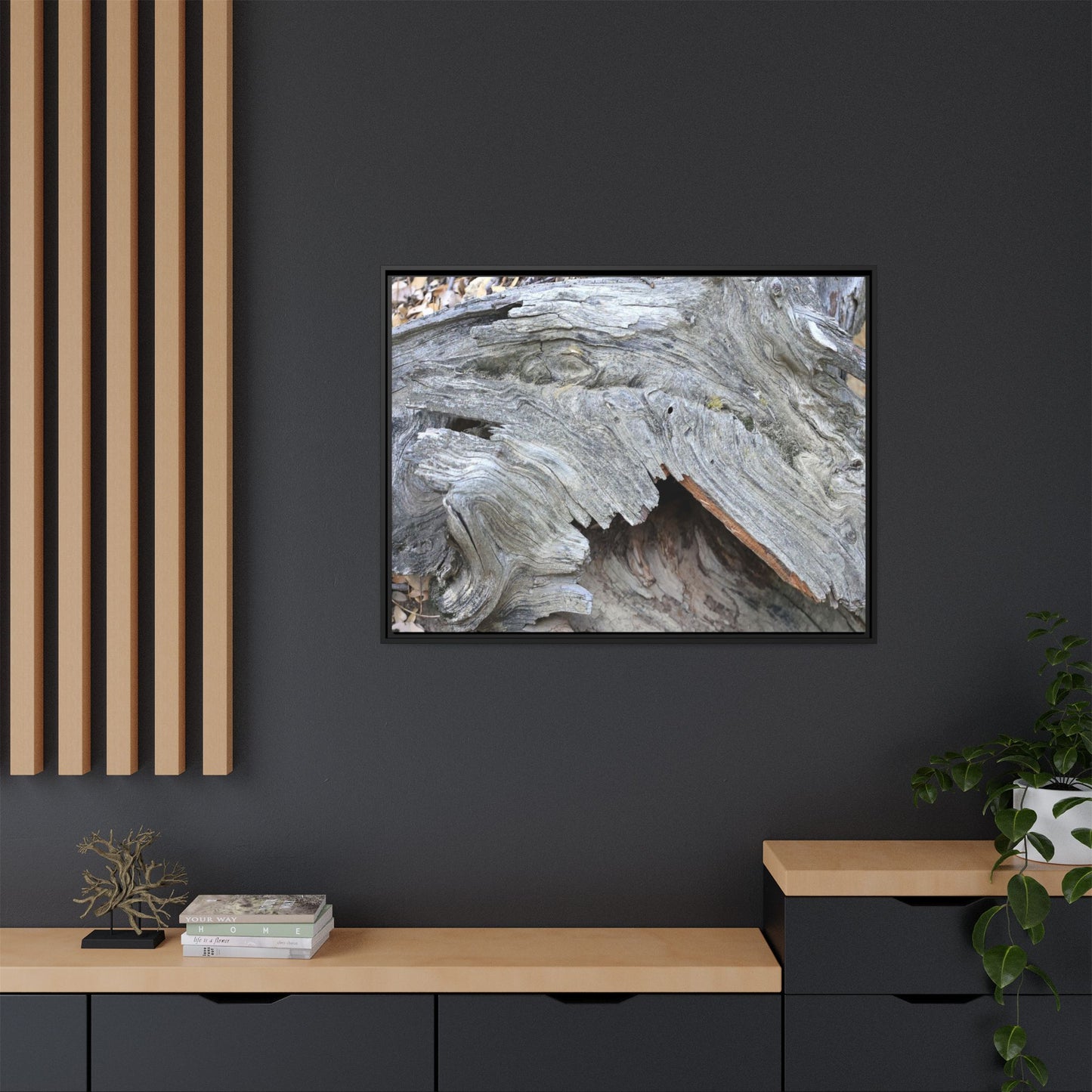 Driftwood Dreams - Unique Stretched Canvas Wall Art