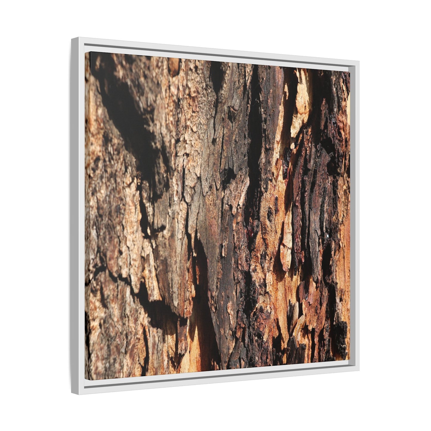 Rugged Beauty - Unique Stretched Canvas Wall Art