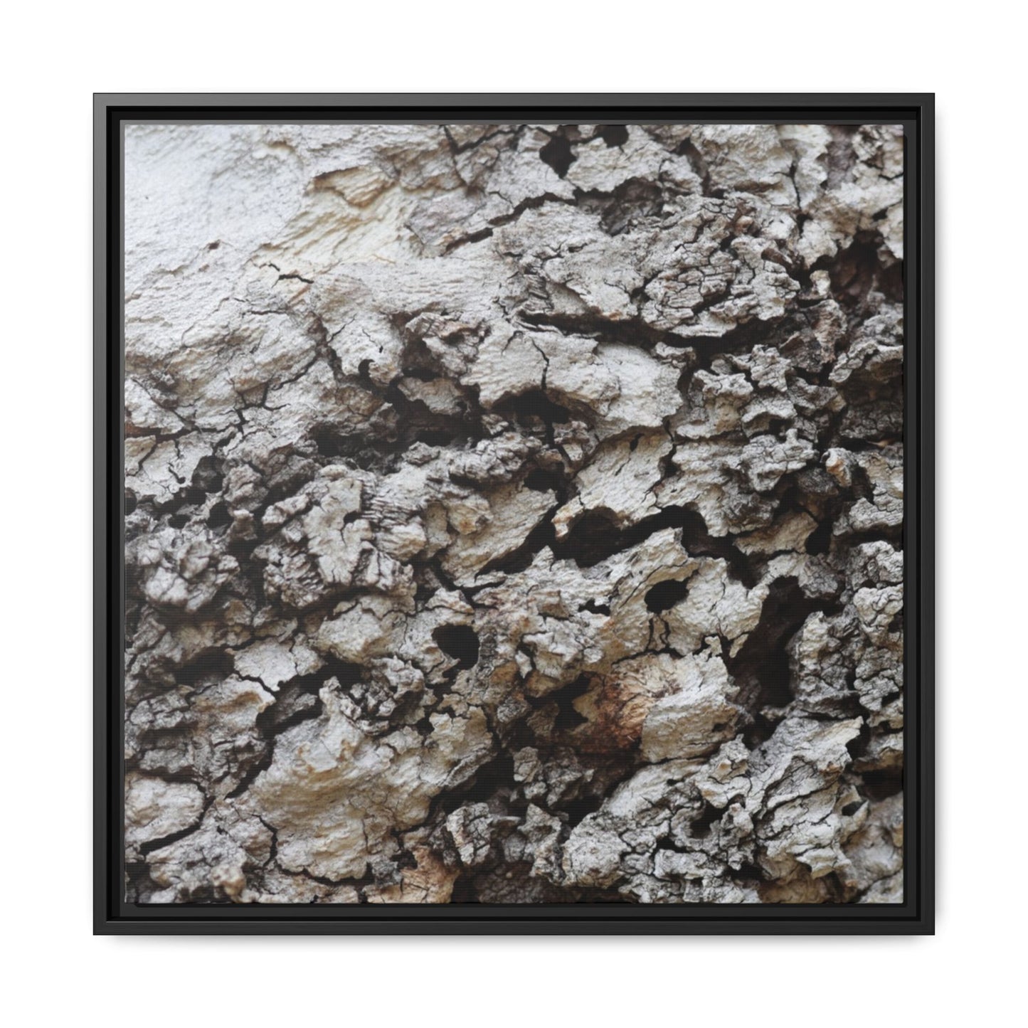 Cracked Terrain - Unique Stretched Canvas Wall Art