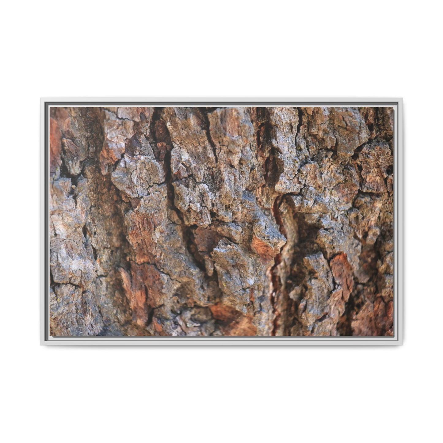 Craggy Textures - Unique Stretched Canvas Wall Art