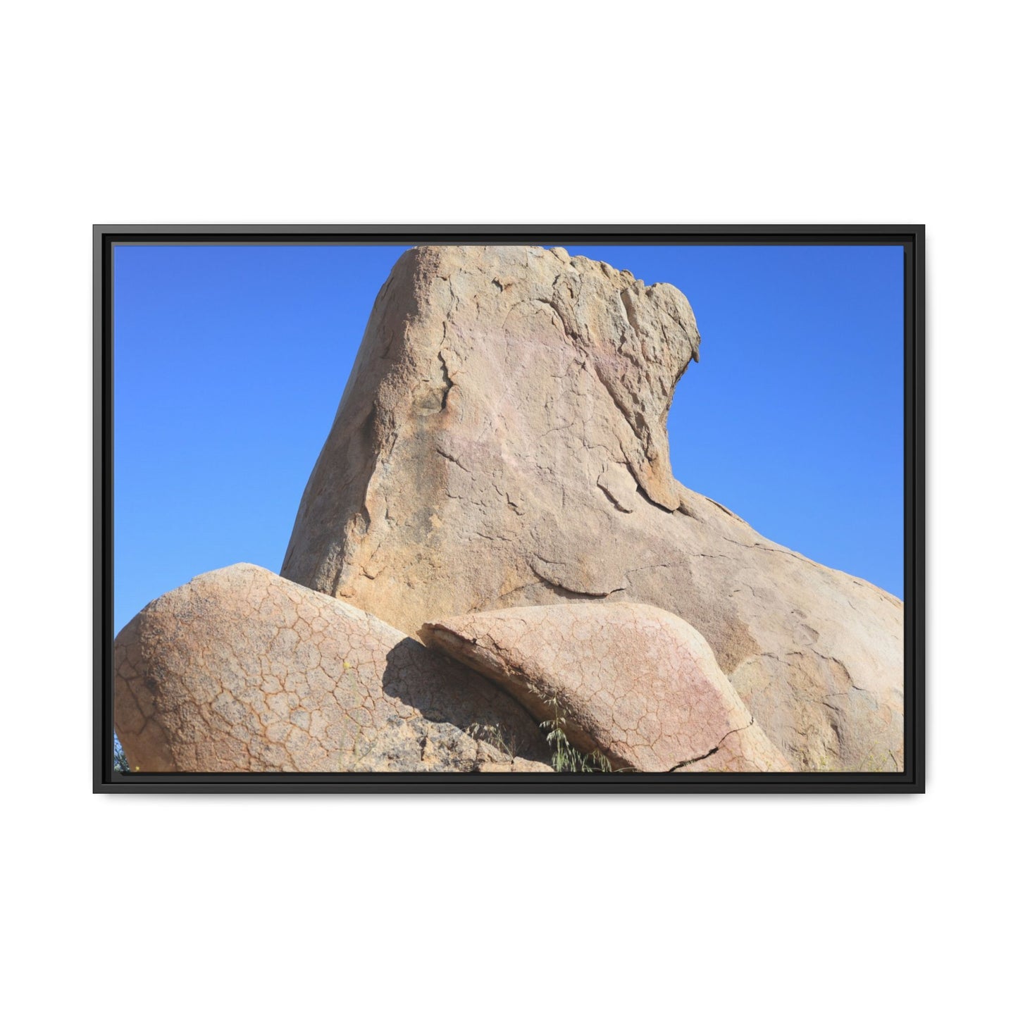 Rocky Sentinel - Unique Stretched Canvas Wall Art