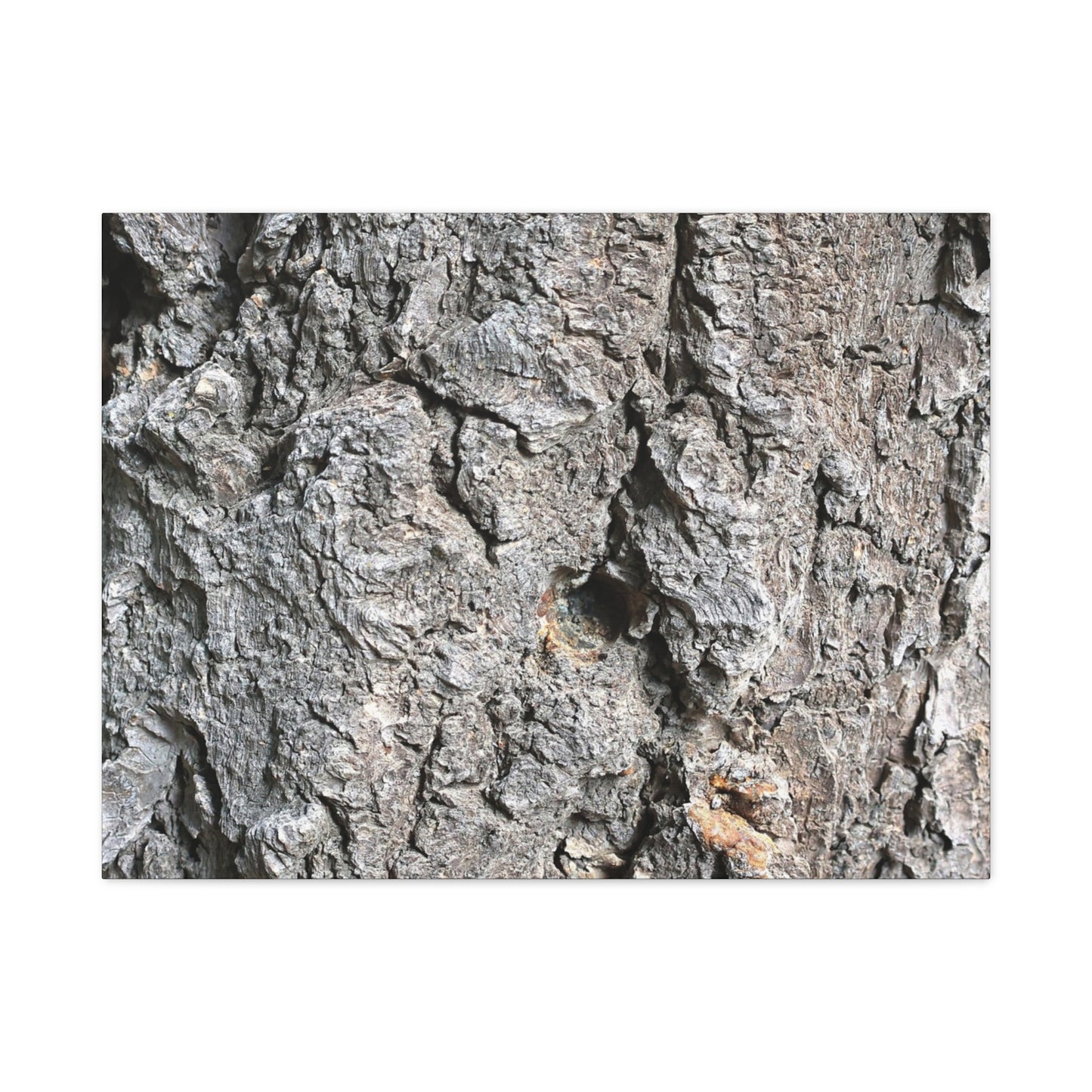 Elemental Canvas - Unique Frameless Canvas Wall Art