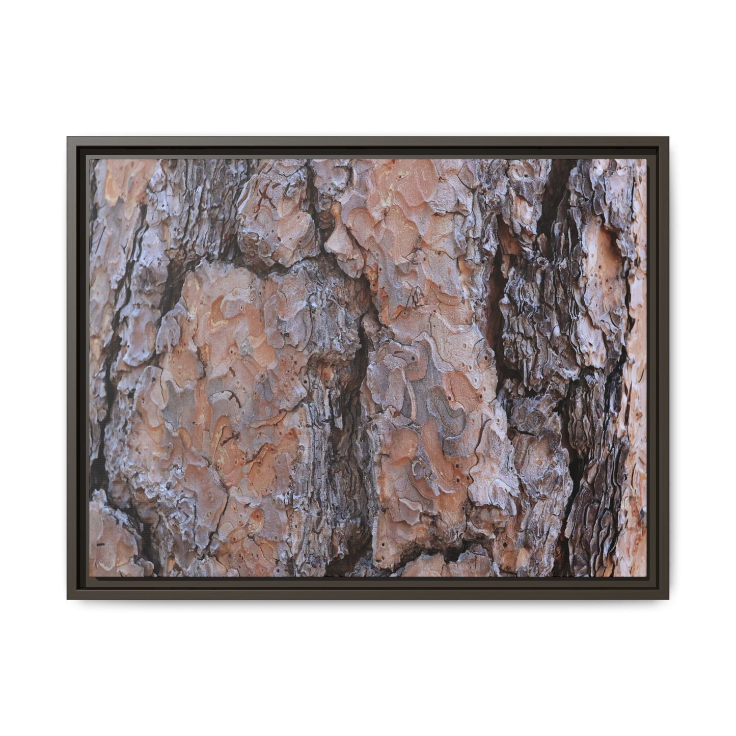 Tree Skin Symphony - Unique Stretched Canvas Wall Art