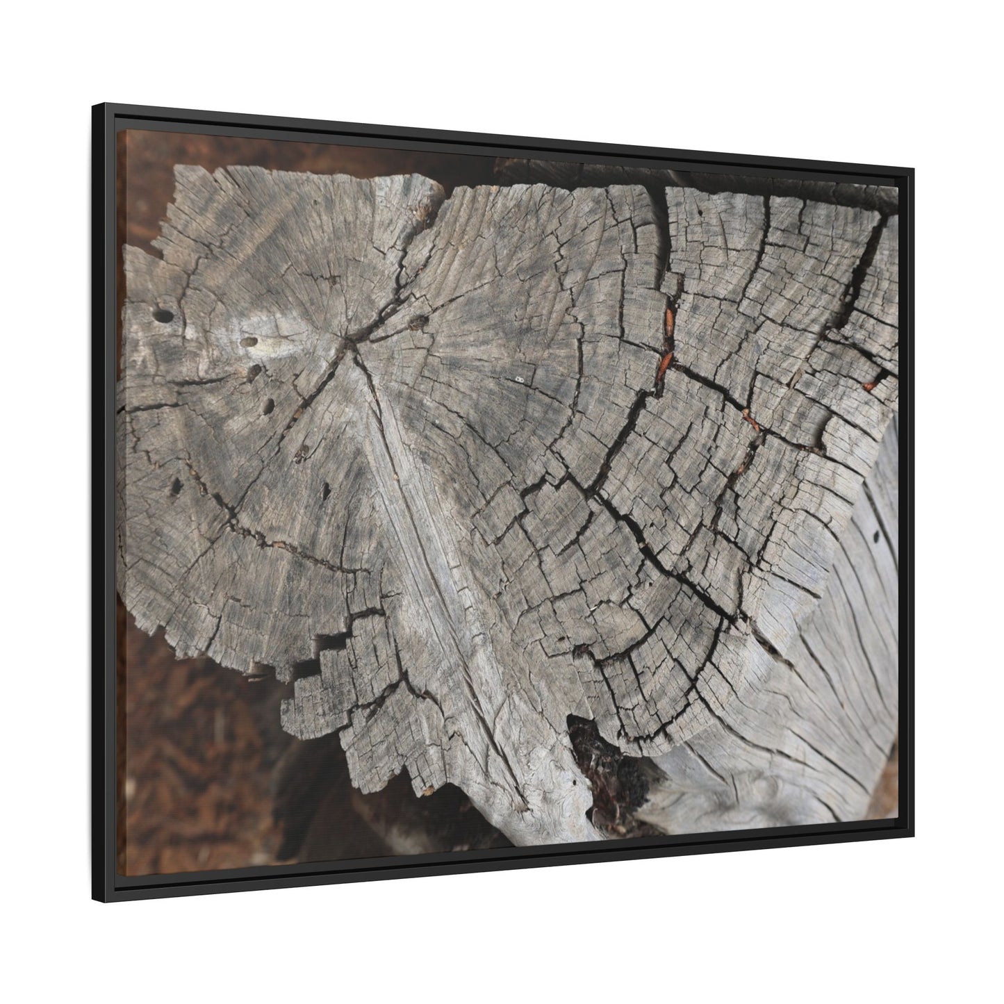 Time's Signature - Unique Stretched Canvas Wall Art