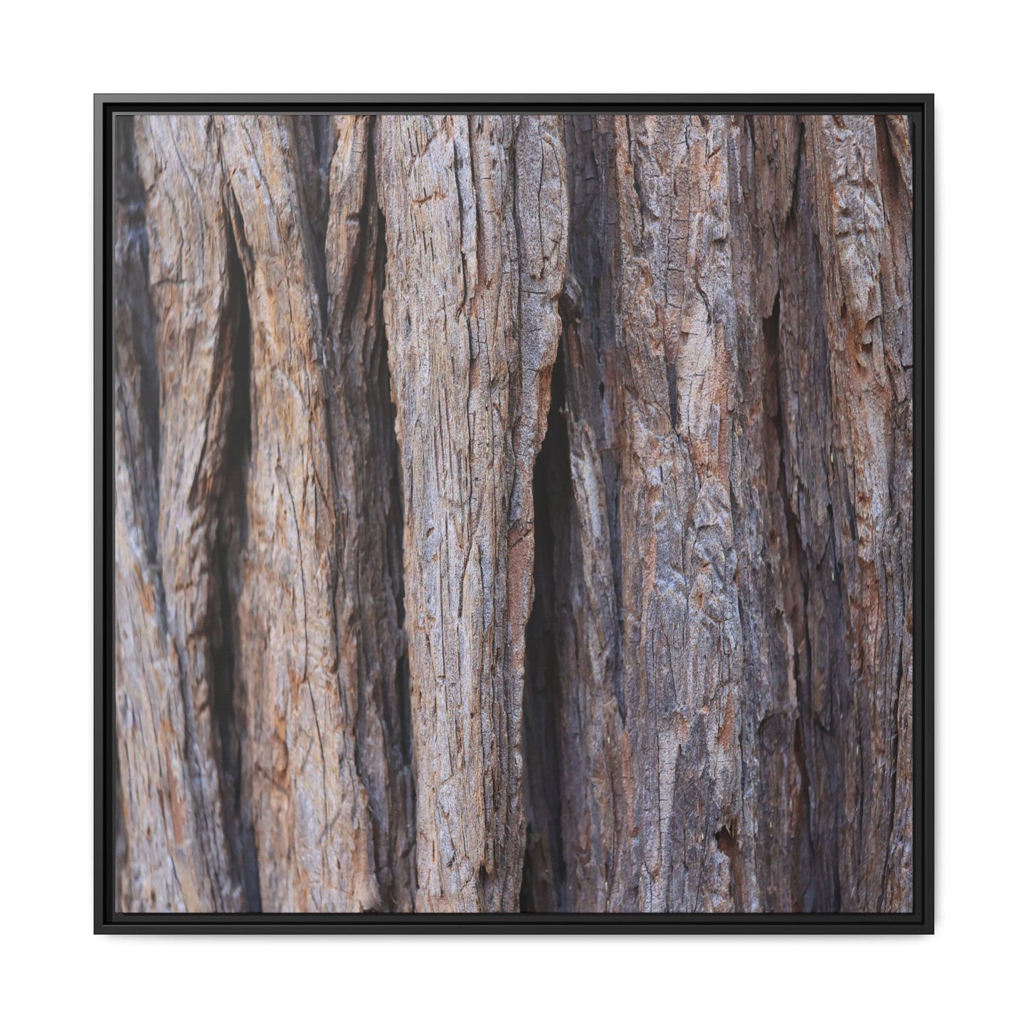 Ancient Grains - Unique Stretched Canvas Wall Art