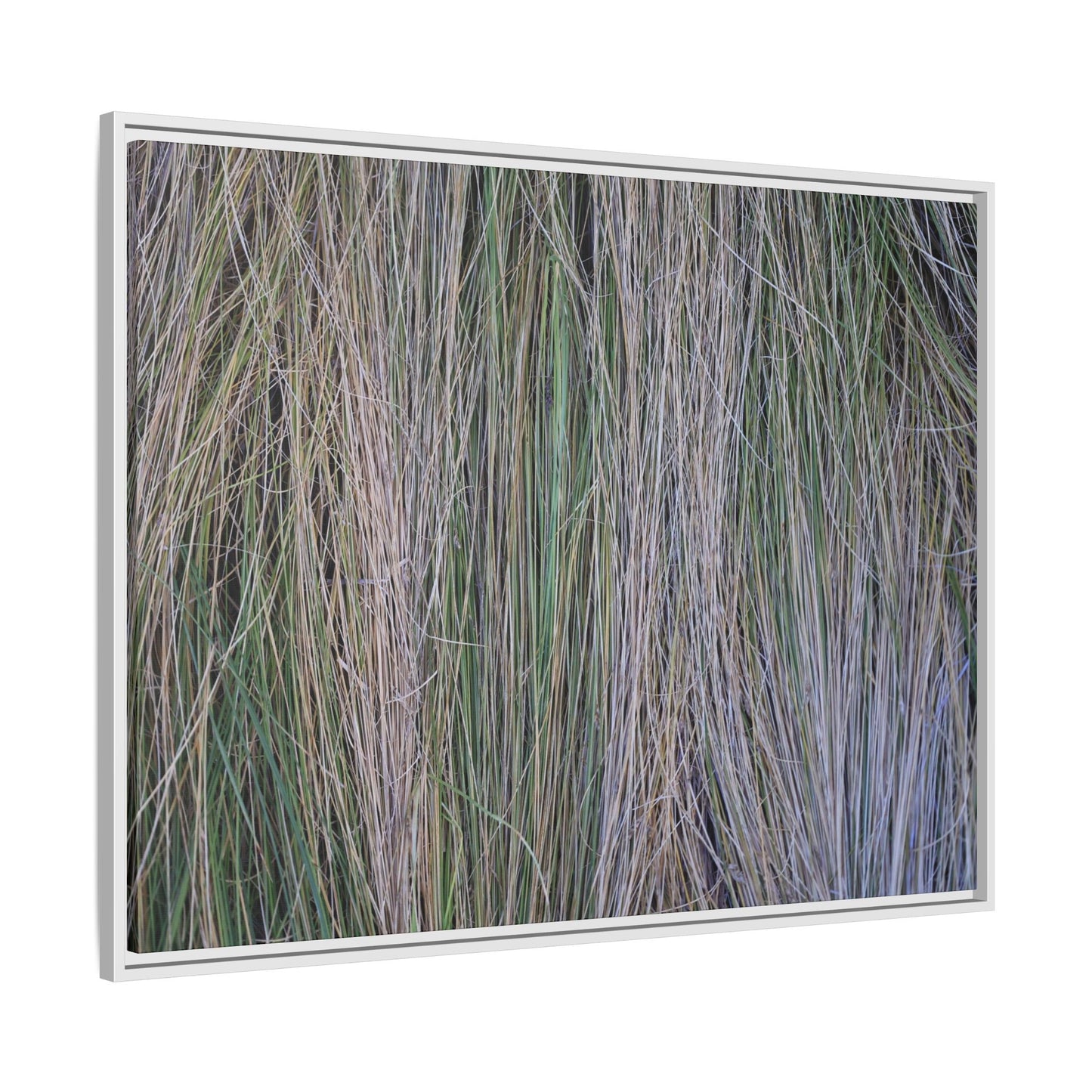 Whispers of Silver Grass - Unique Stretched Canvas Wall Art