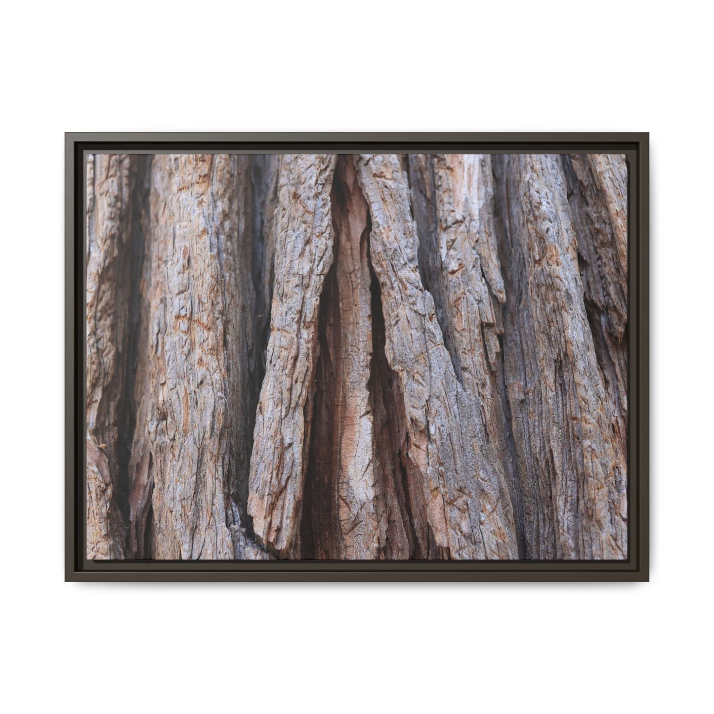Nature's Sculpture - Unique Stretched Canvas Wall Art