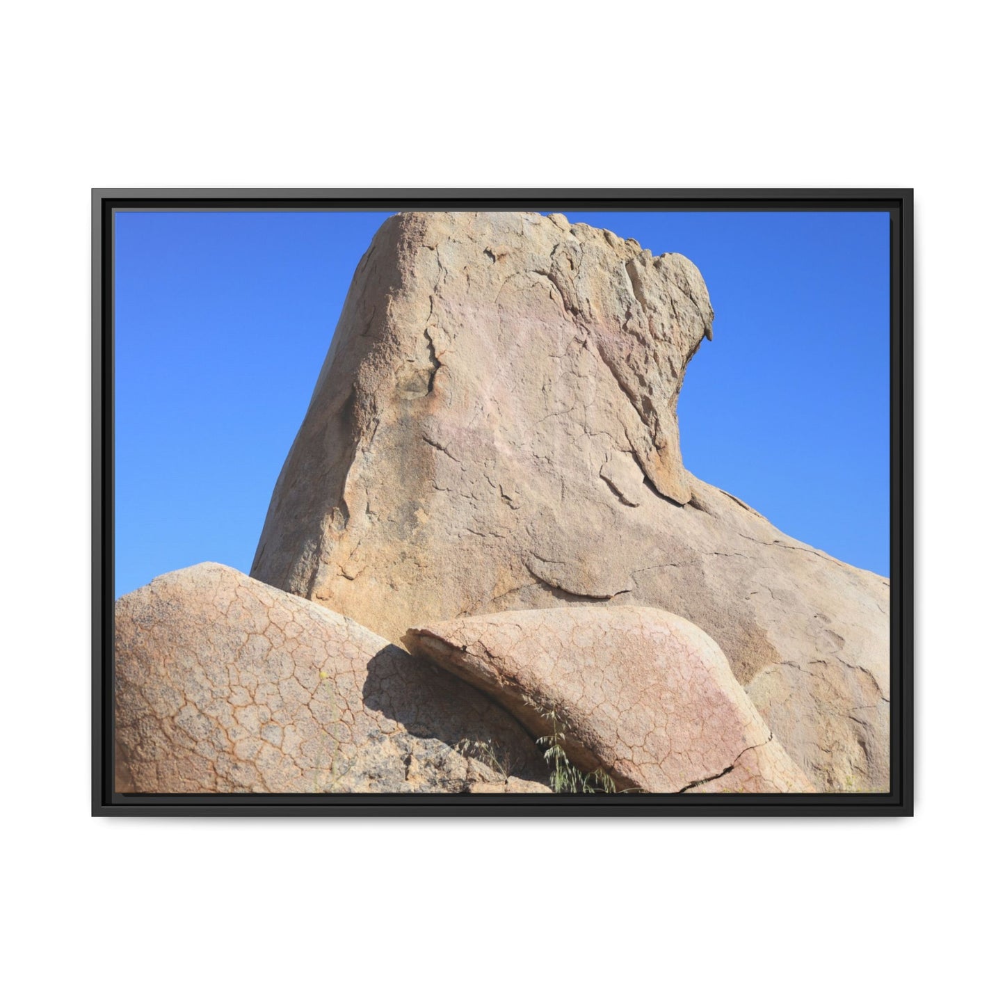 Rocky Sentinel - Unique Stretched Canvas Wall Art