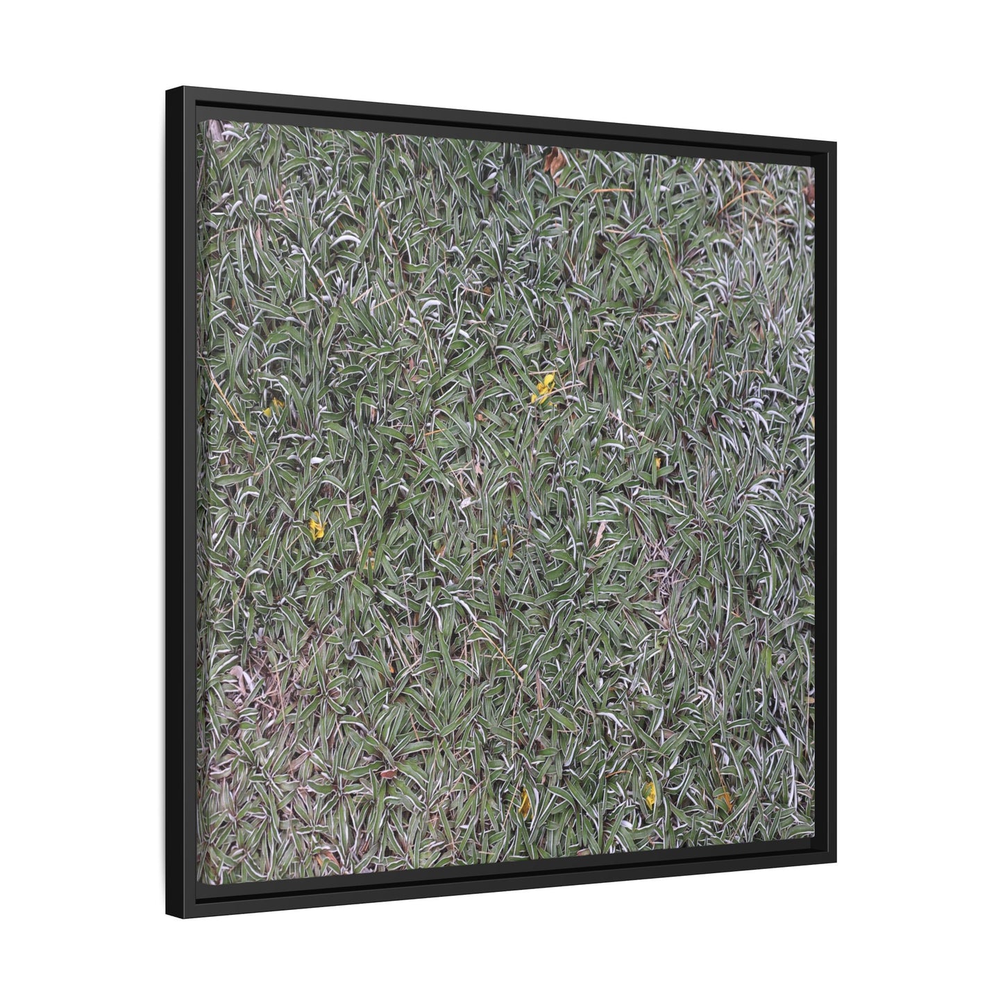 Grassy Texture - Unique Stretched Canvas Wall Art
