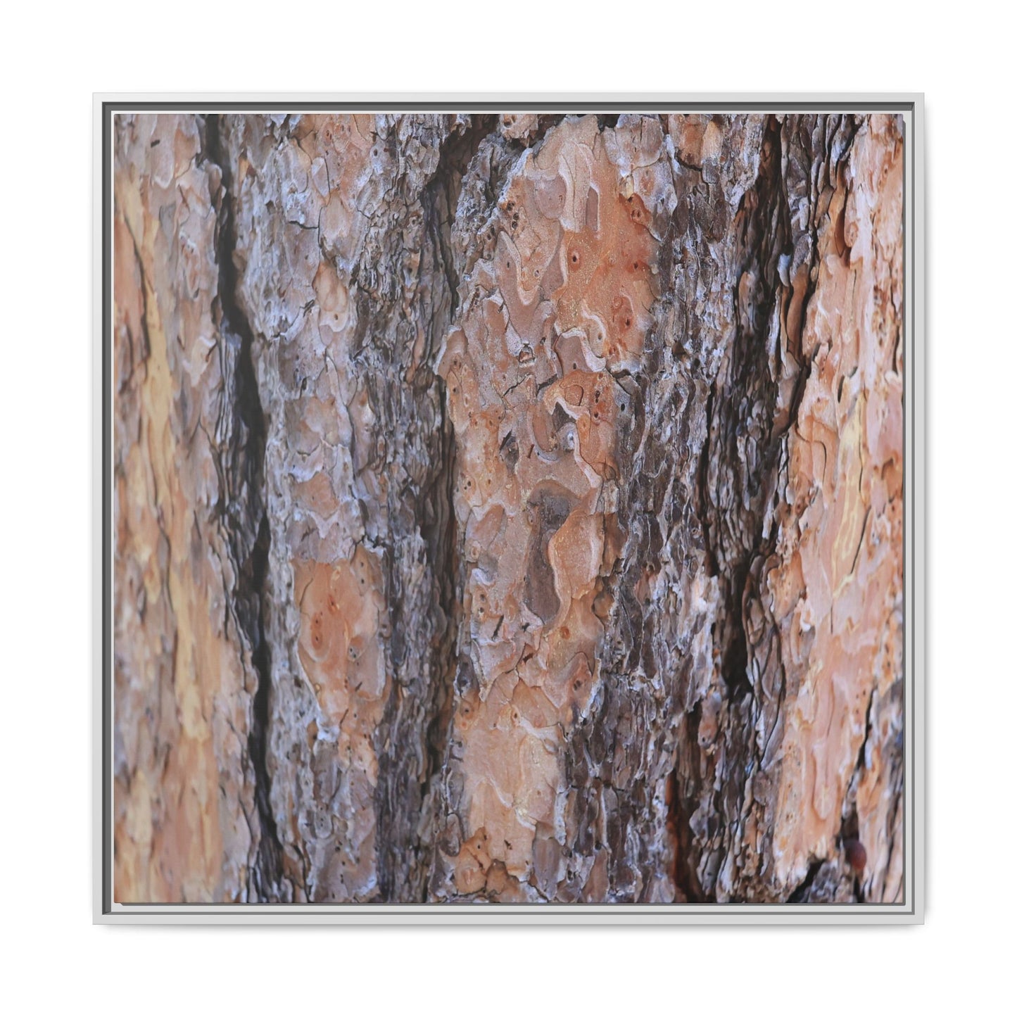 Earthy Embrace - Unique Stretched Canvas Wall Art