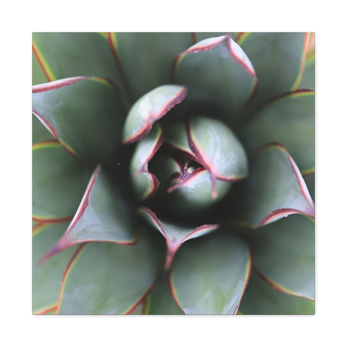 Emerald Spiral - Unique Frameless Canvas Wall Art