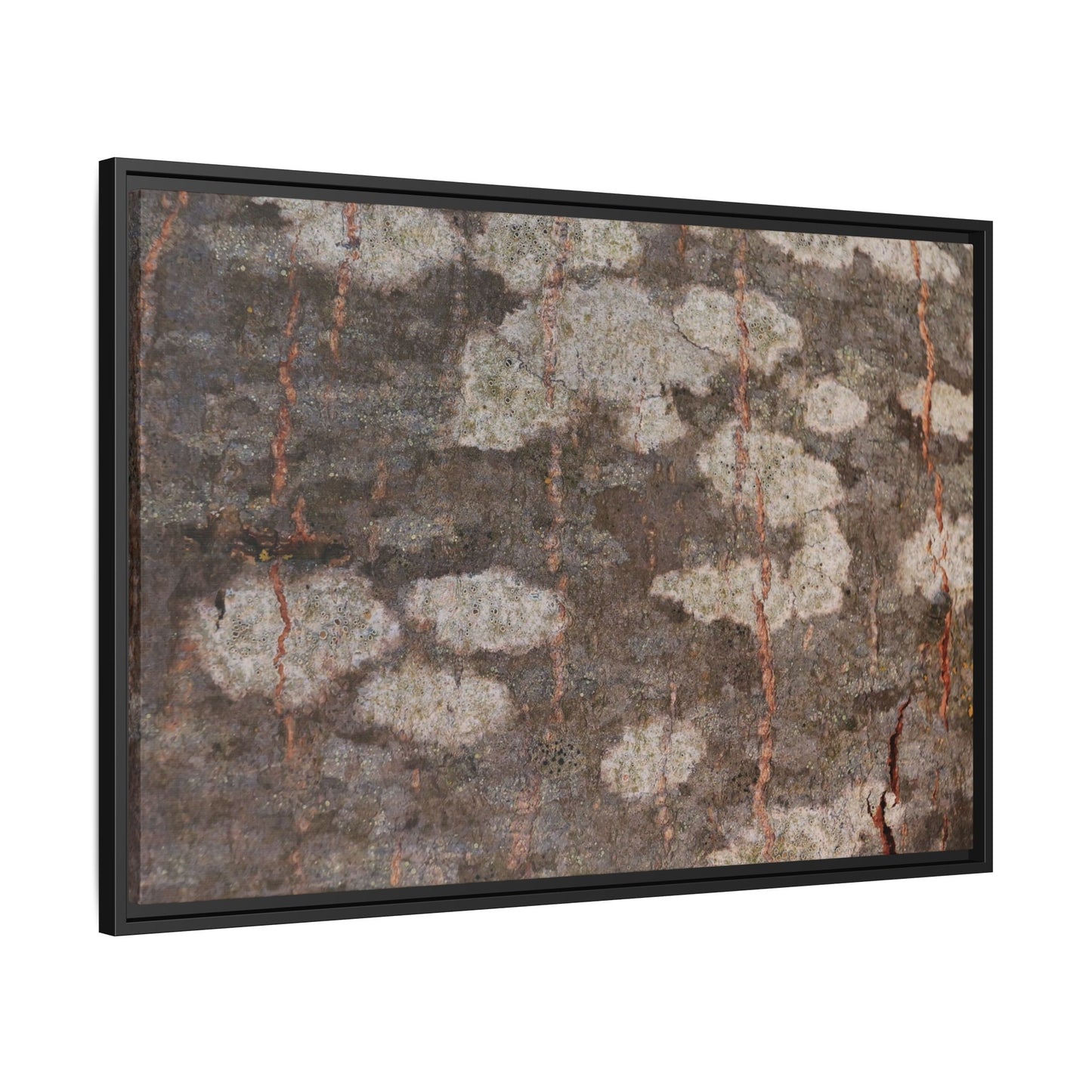 Lichen's Legacy - Unique Stretched Canvas Wall Art