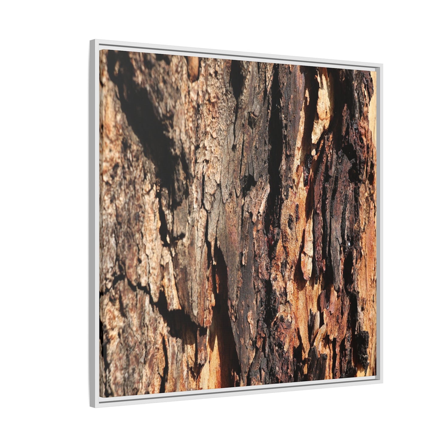 Rugged Beauty - Unique Stretched Canvas Wall Art
