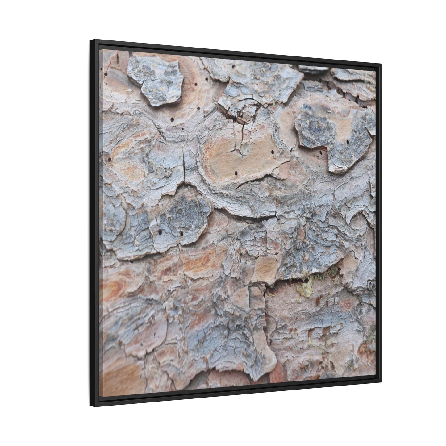 Peeling Memories - Unique Stretched Canvas Wall Art
