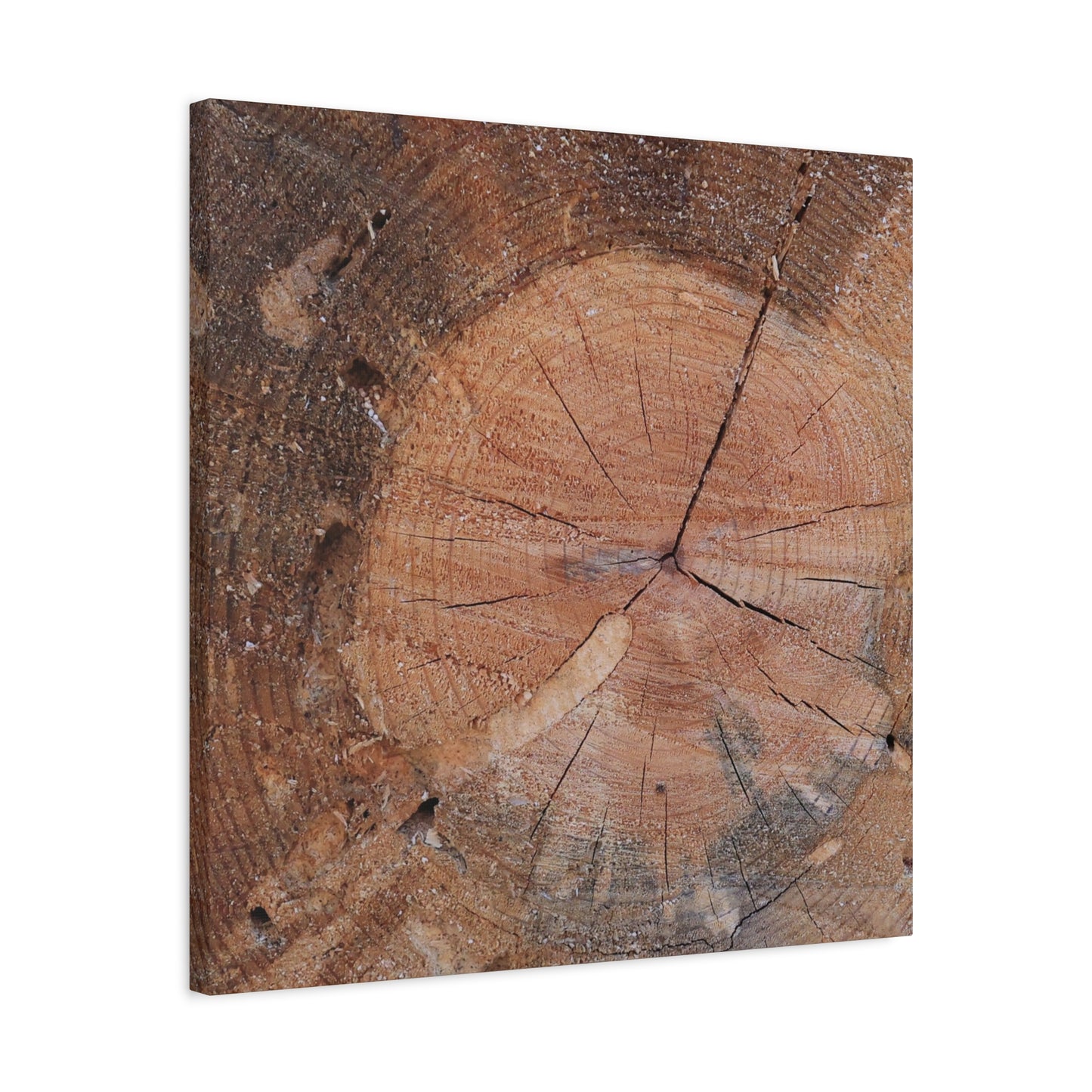 Timber Tale - Unique Frameless Canvas Wall Art