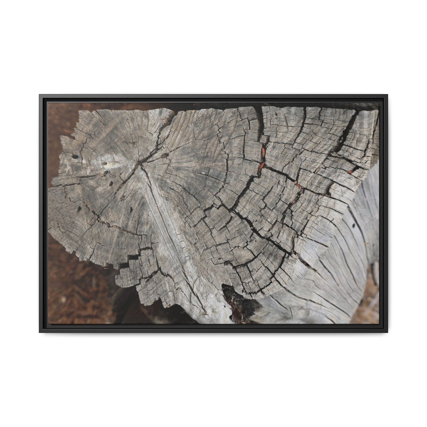 Time's Signature - Unique Stretched Canvas Wall Art