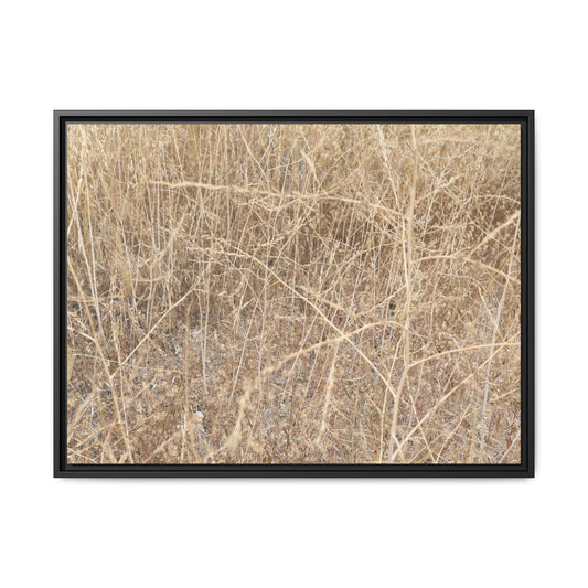 Golden Stalks - Unique Stretched Canvas Wall Art - Art By Earth