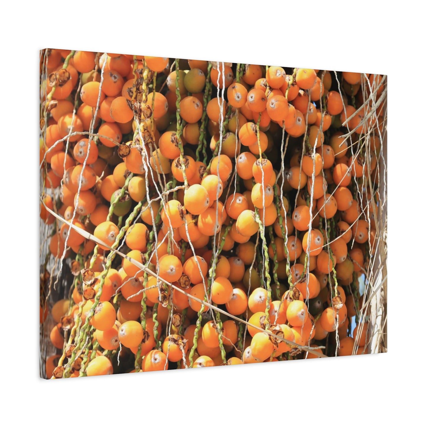 Orange Harvest - Unique Frameless Canvas Wall Art