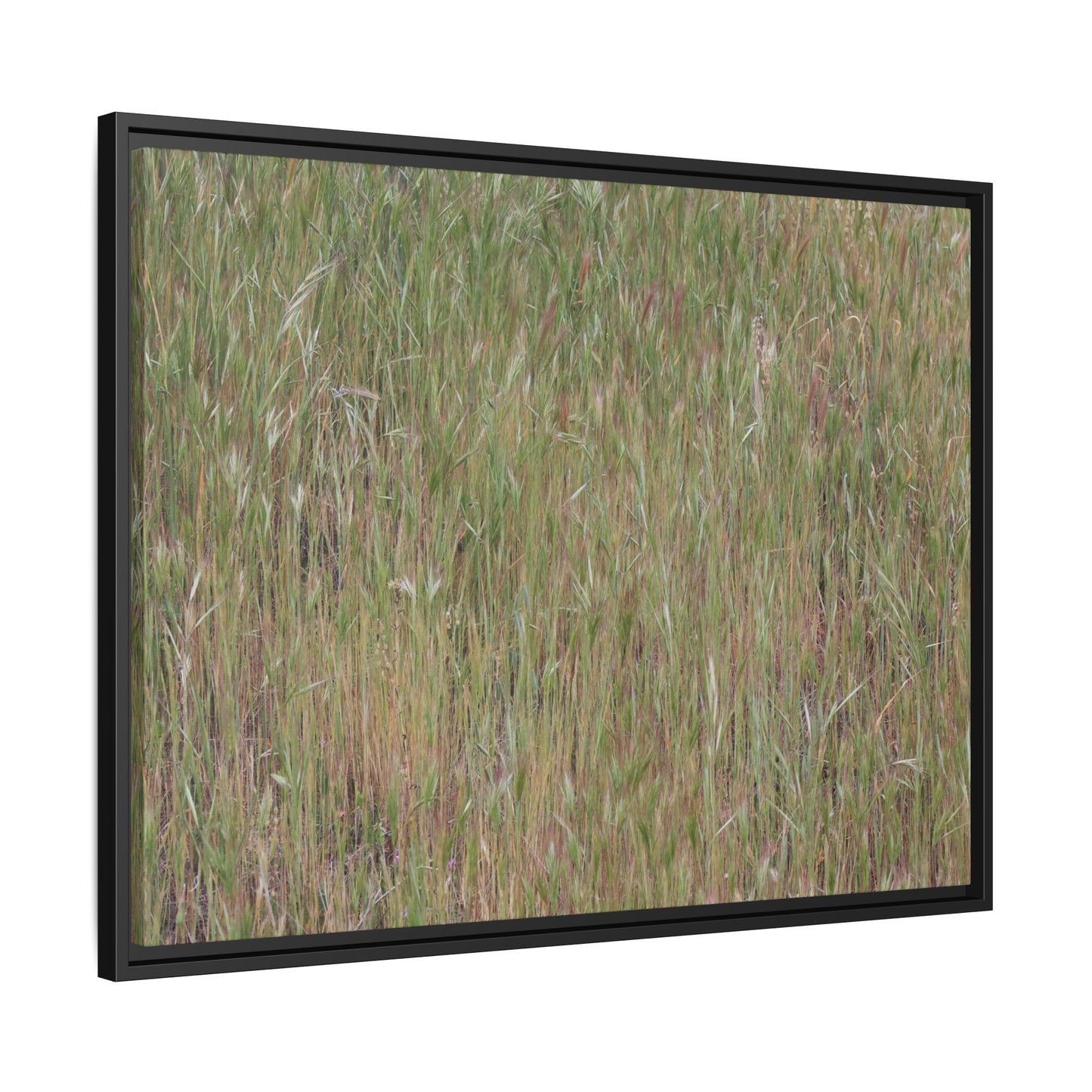 Field of Dreams - Unique Stretched Canvas Wall Art