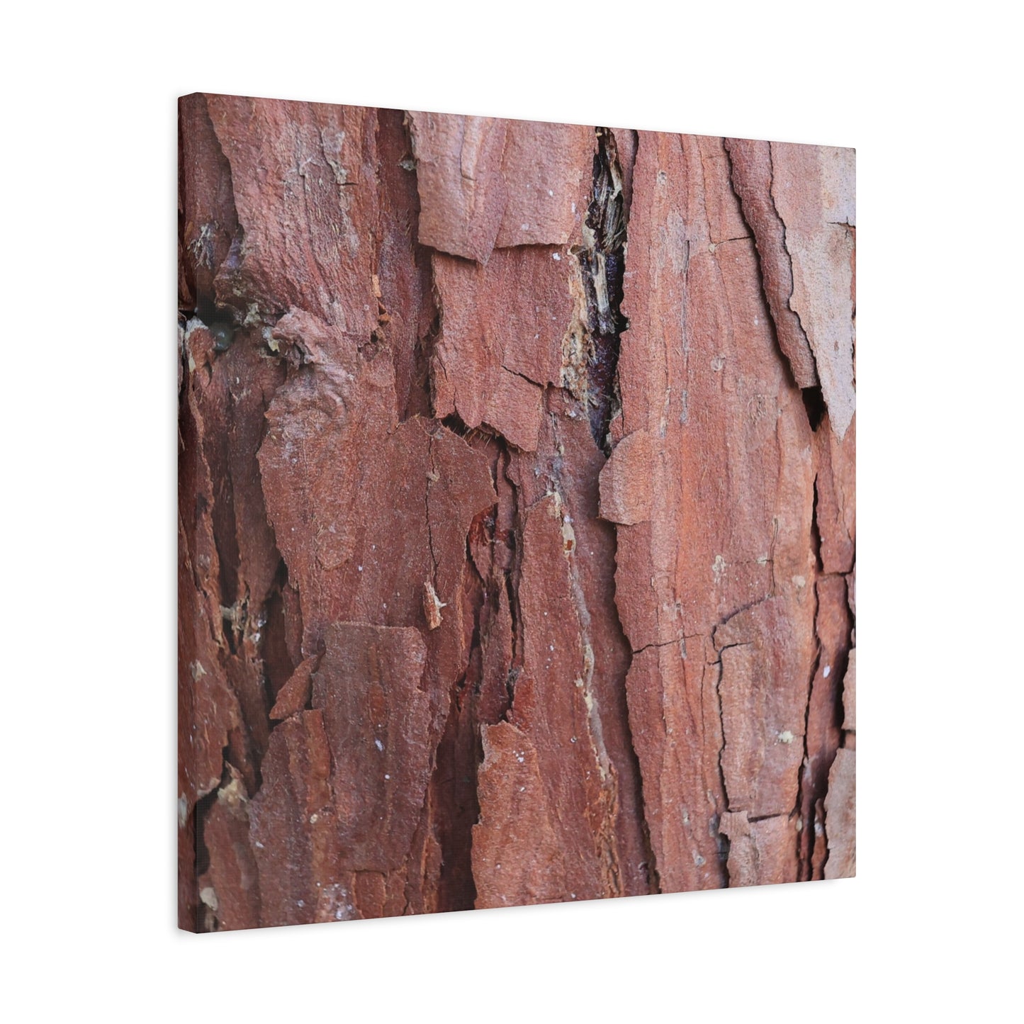 Crimson Fissures - Unique Frameless Canvas Wall Art