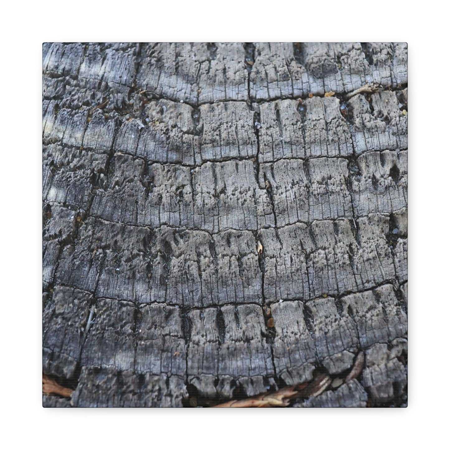 Whispers of Age - Unique Frameless Canvas Wall Art