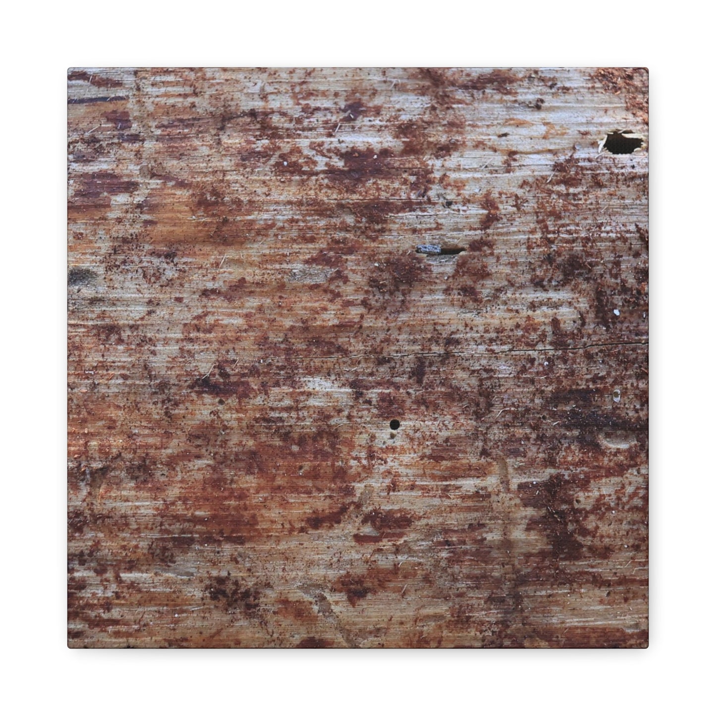 Decaying Memoir - Unique Frameless Canvas Wall Art
