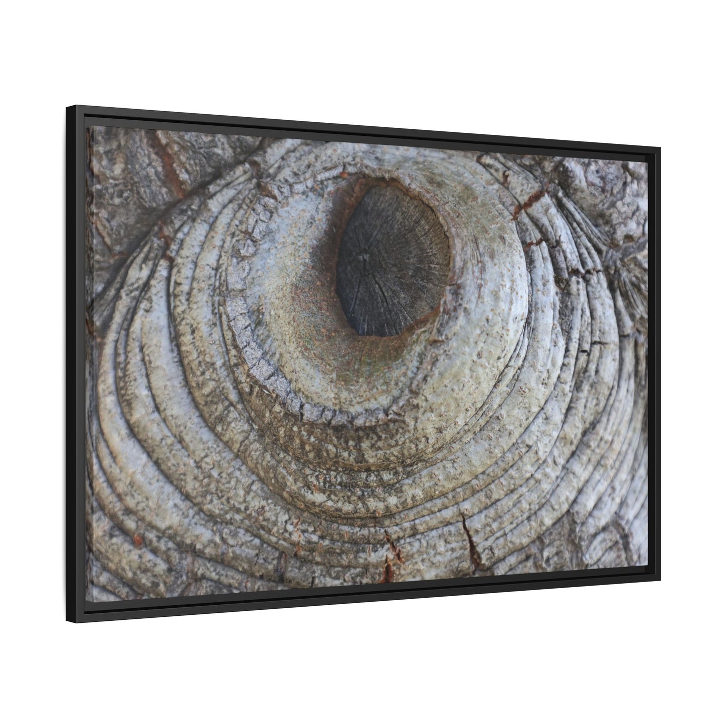 Echoes of Time - Unique Stretched Canvas Wall Art