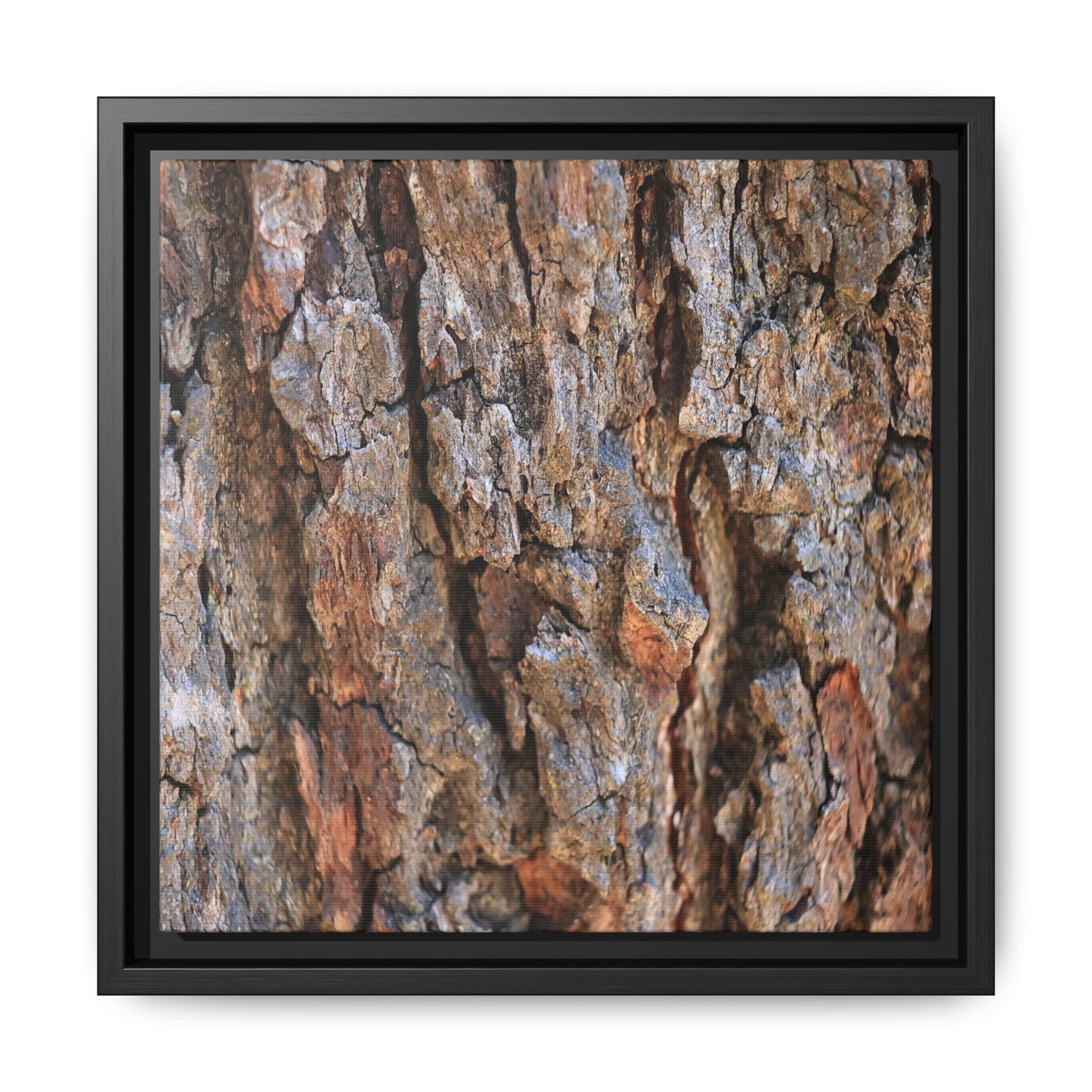 Craggy Textures - Unique Stretched Canvas Wall Art