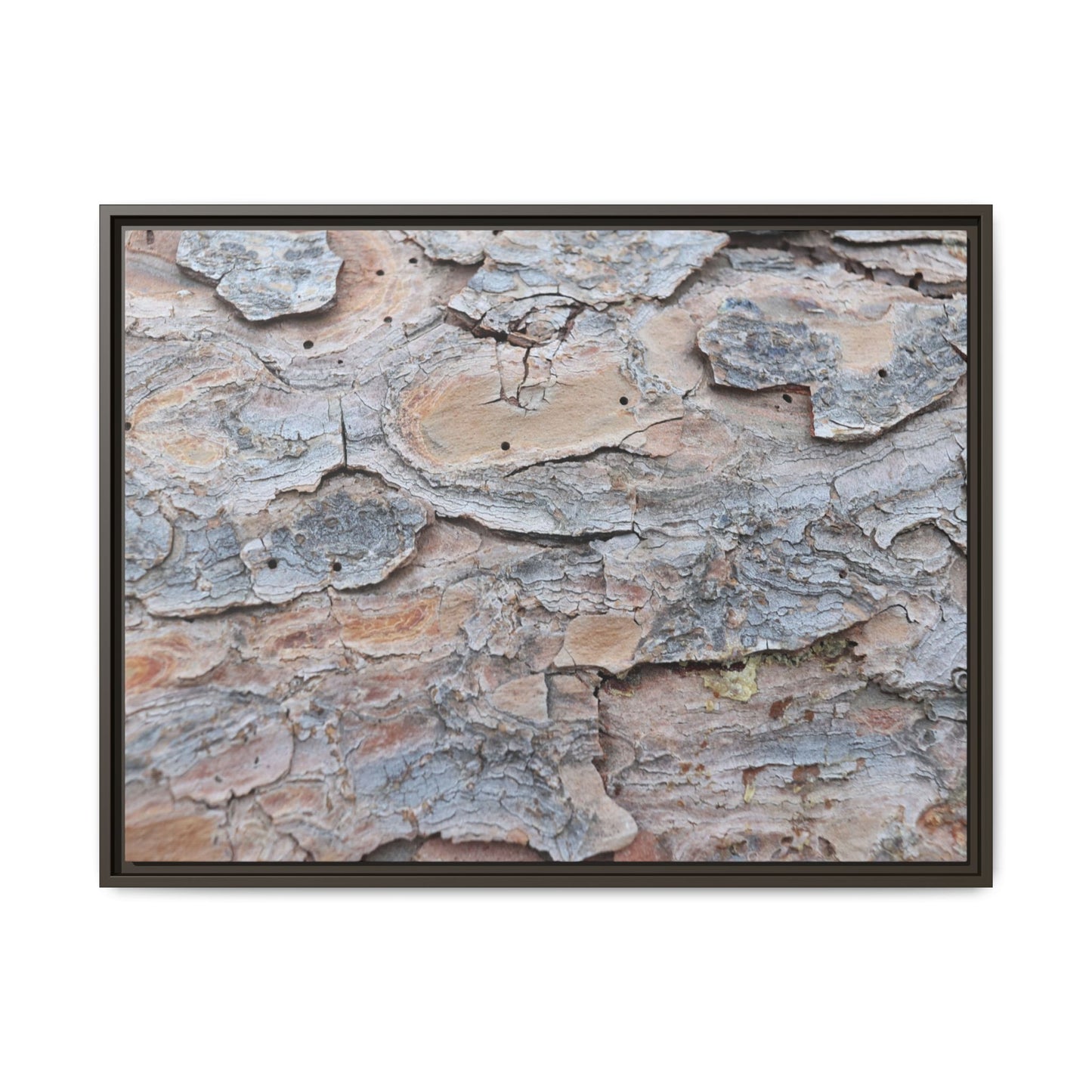 Peeling Memories - Unique Stretched Canvas Wall Art