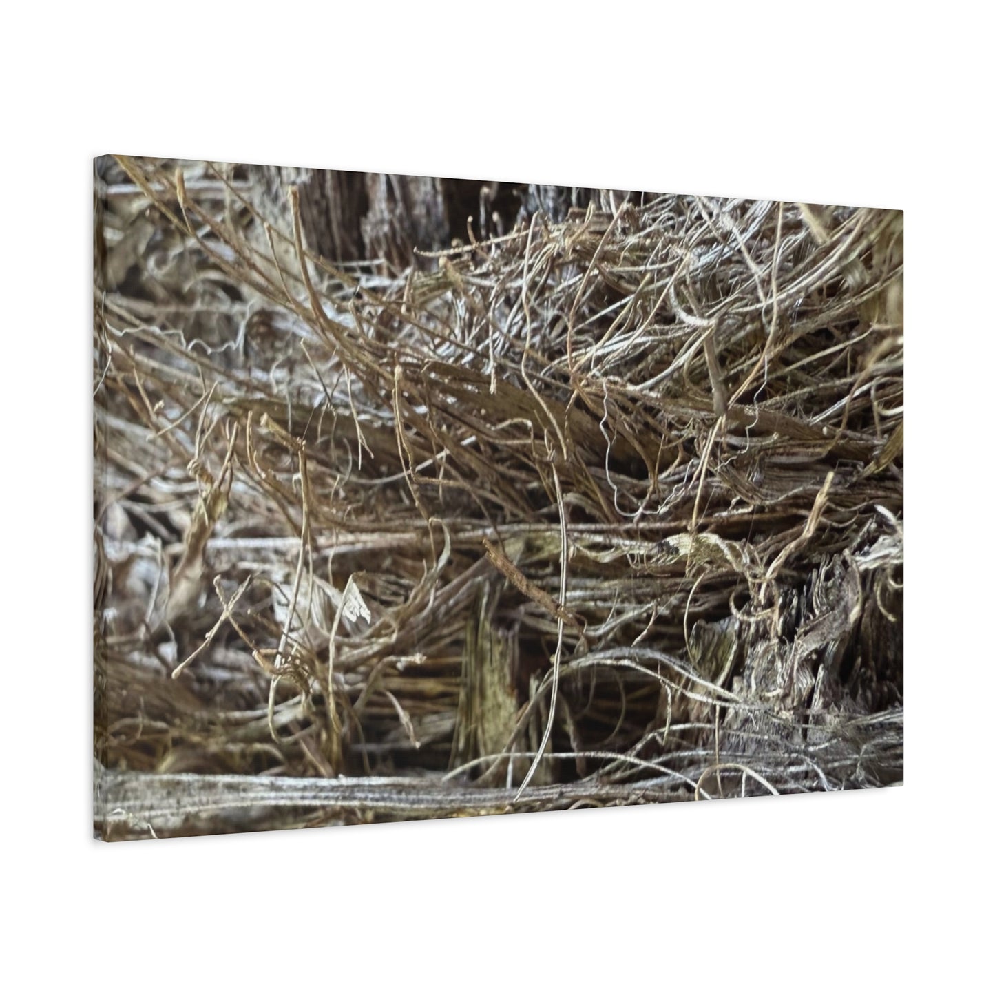 Whispers in Dry Grass - Unique Frameless Canvas Wall Art