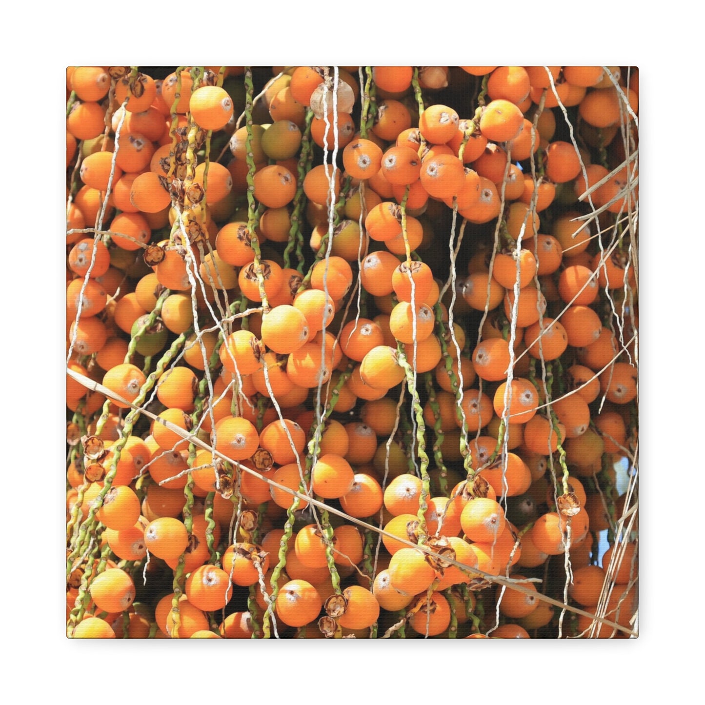 Orange Harvest - Unique Frameless Canvas Wall Art