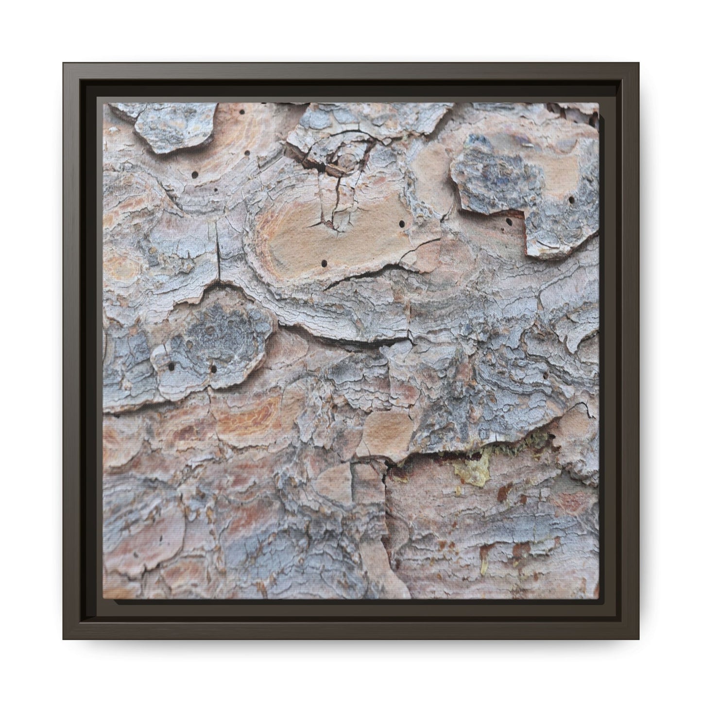 Peeling Memories - Unique Stretched Canvas Wall Art