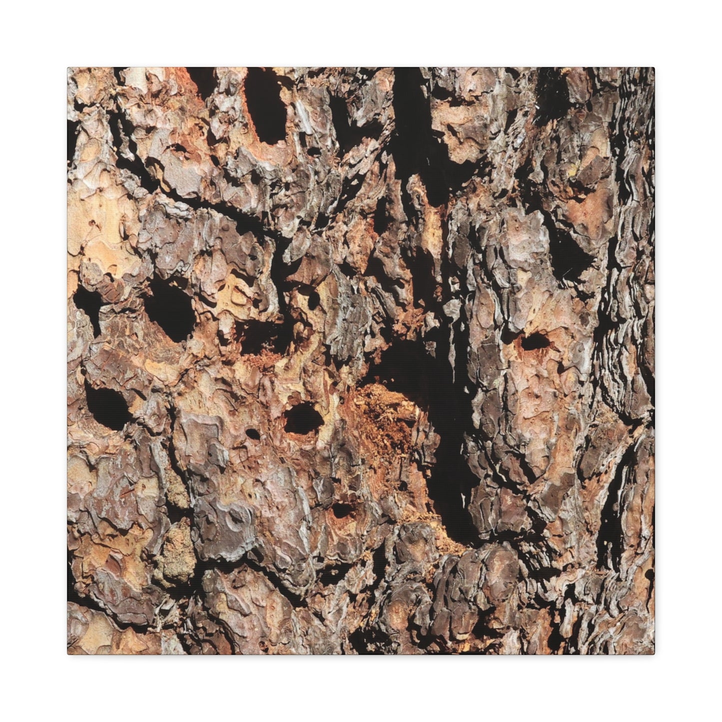 Tree Bark Mosaic - Unique Frameless Canvas Wall Art