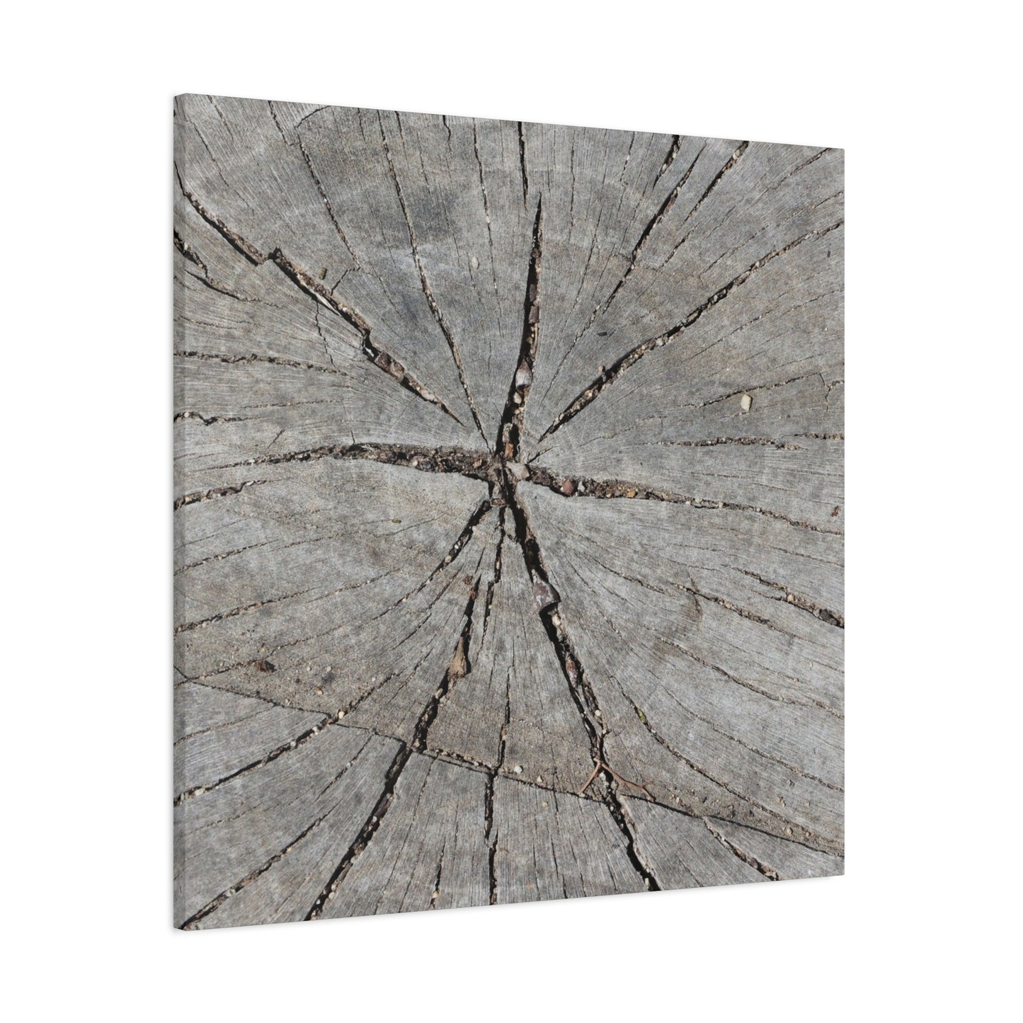Cracked Chronicle - Unique Frameless Canvas Wall Art