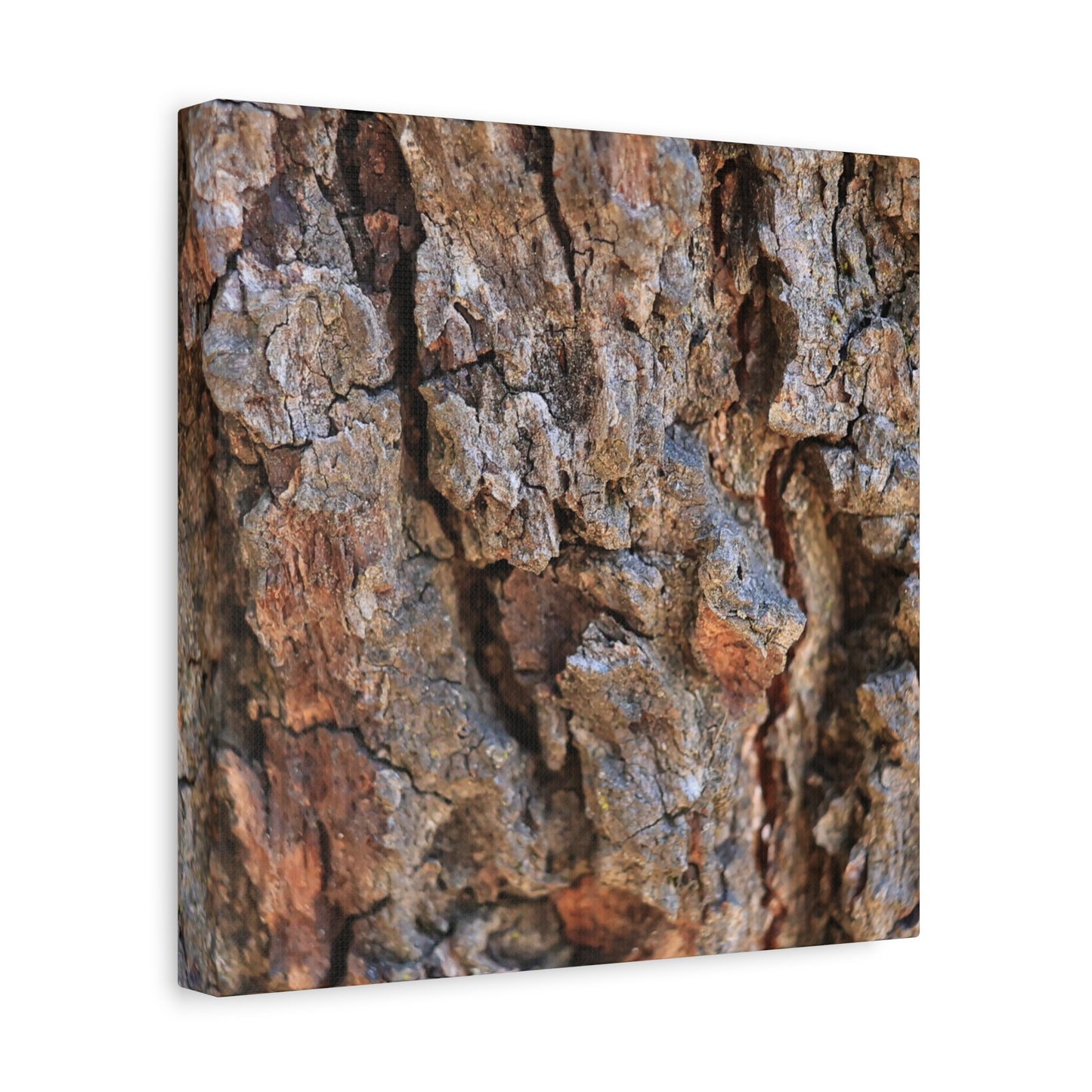 Nature's Skin - Unique Frameless Canvas Wall Art