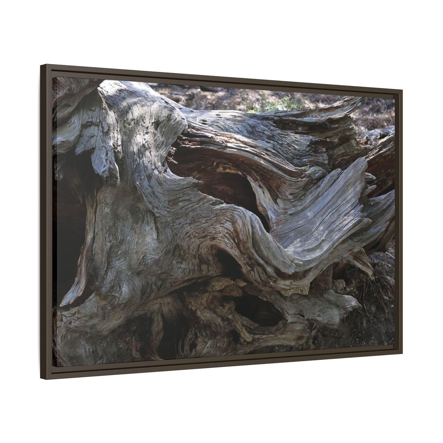 Twisted Memories - Unique Stretched Canvas Wall Art