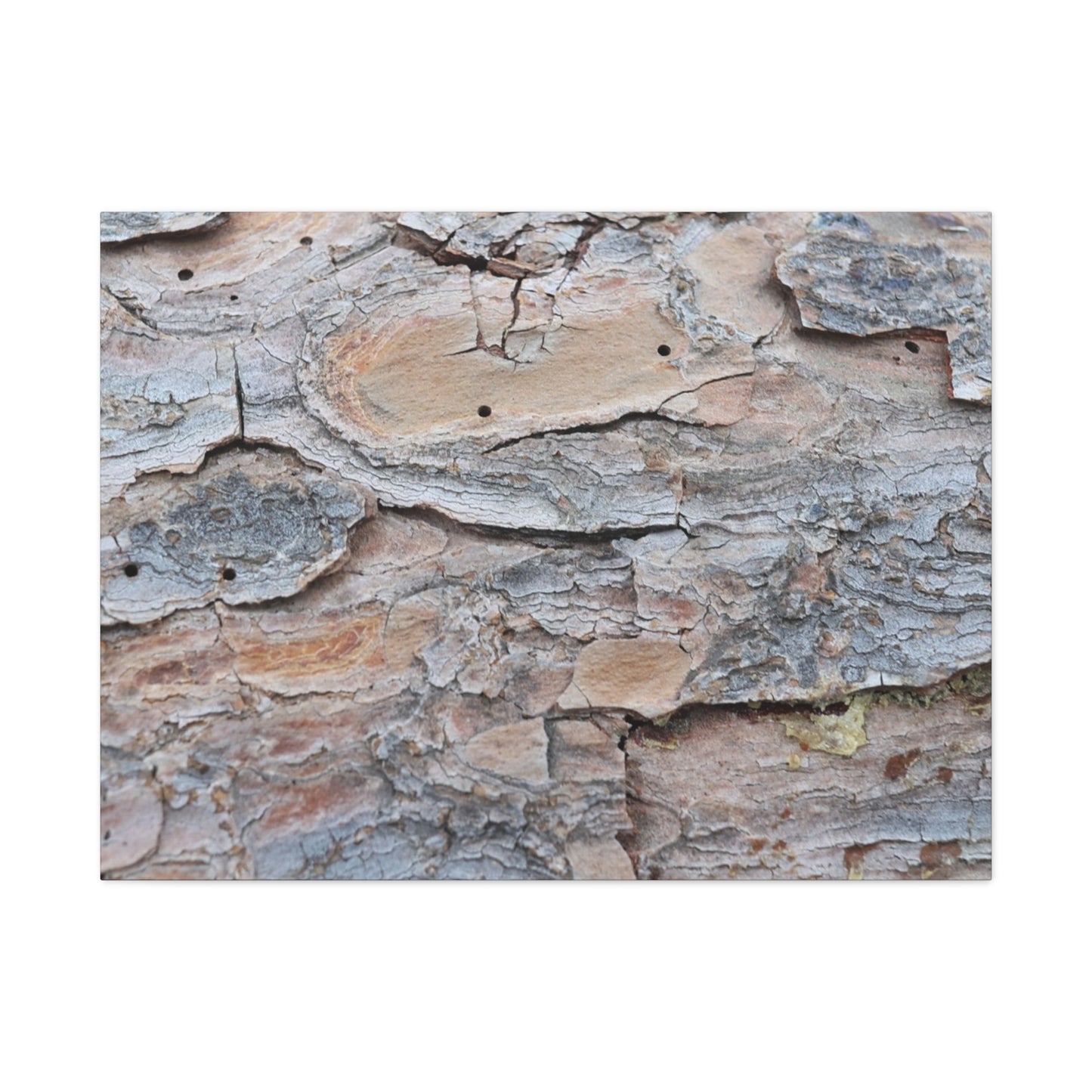 Textural Geology - Unique Frameless Canvas Wall Art
