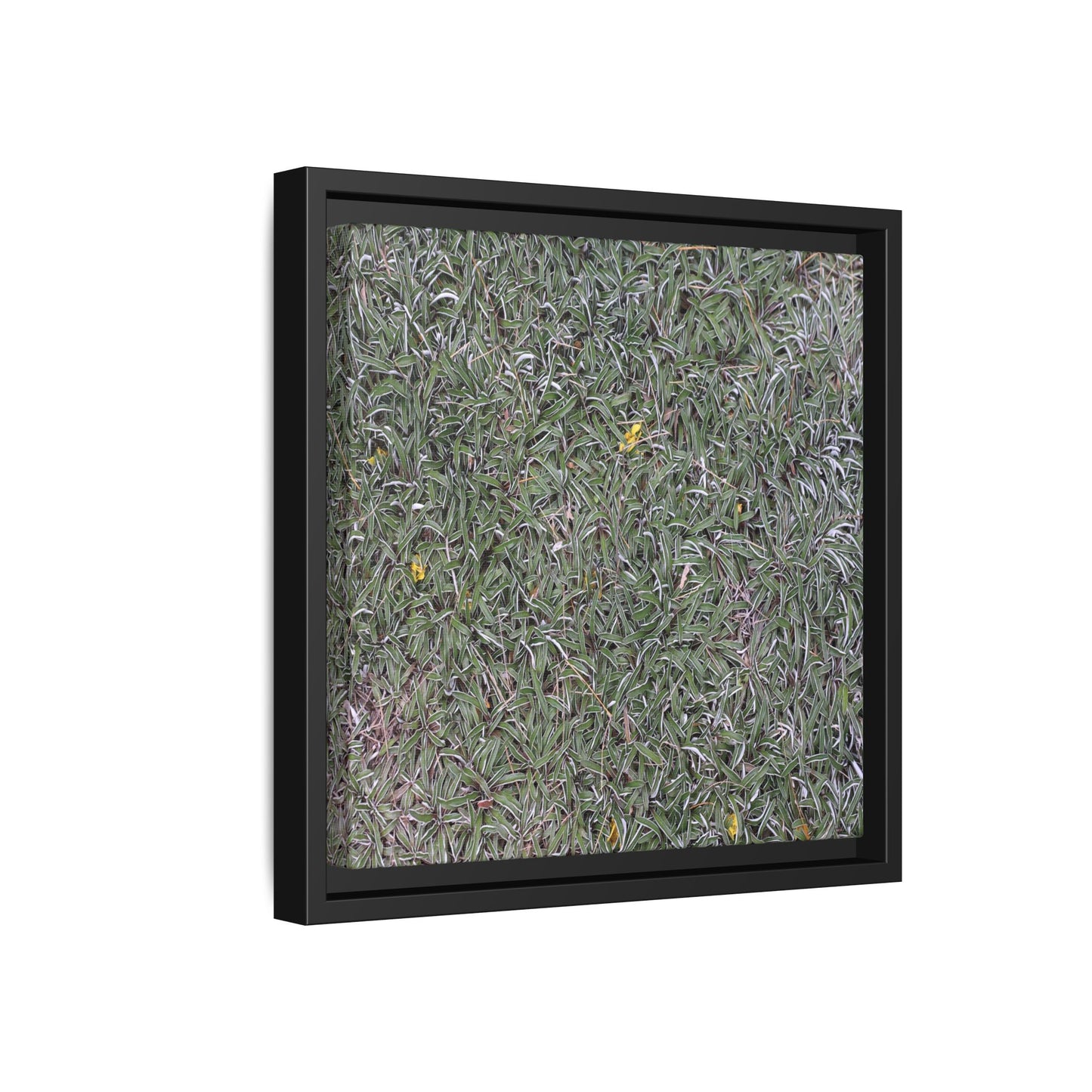 Grassy Texture - Unique Stretched Canvas Wall Art