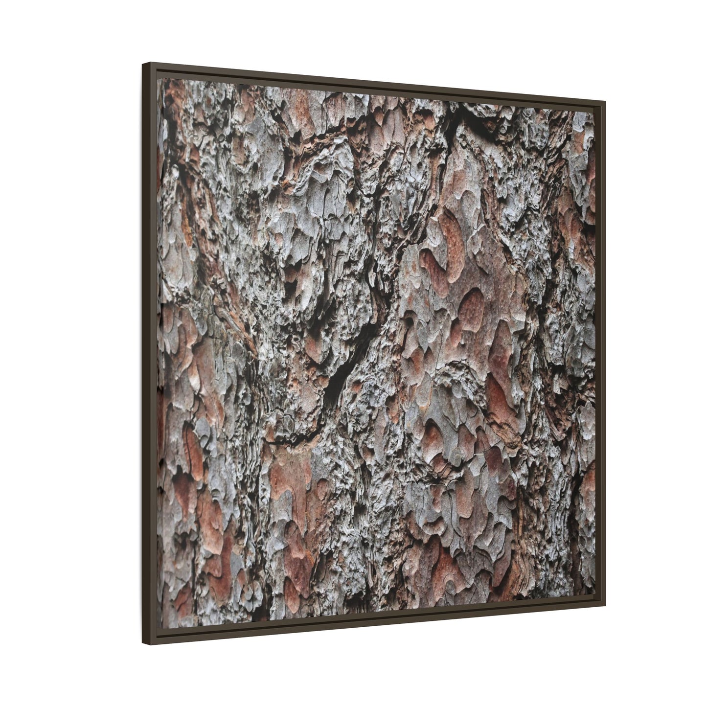 Bark Texture Symphony - Unique Stretched Canvas Wall Art