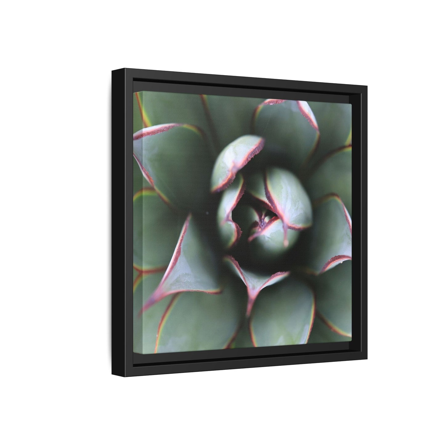 Spiky Elegance - Unique Stretched Canvas Wall Art