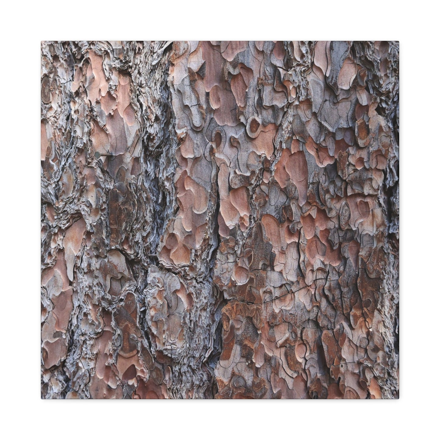 Woodland Armor - Unique Frameless Canvas Wall Art